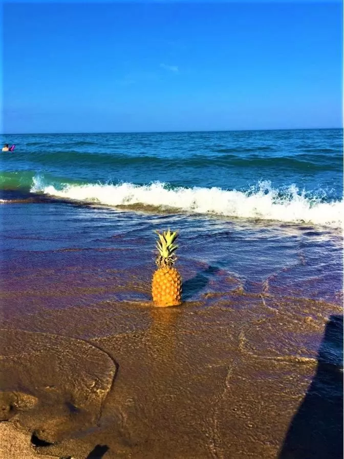 Day in Gold Coast Family Cottages