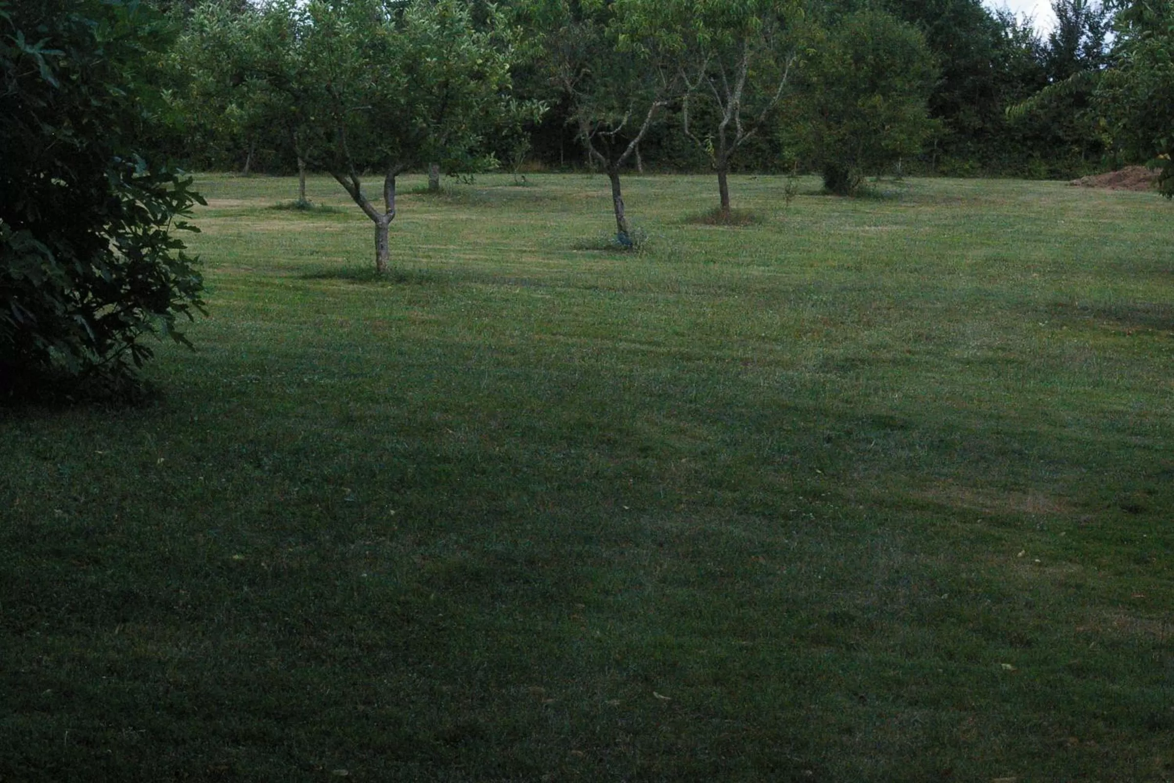 Garden in Chambres d'Hotes du Maine