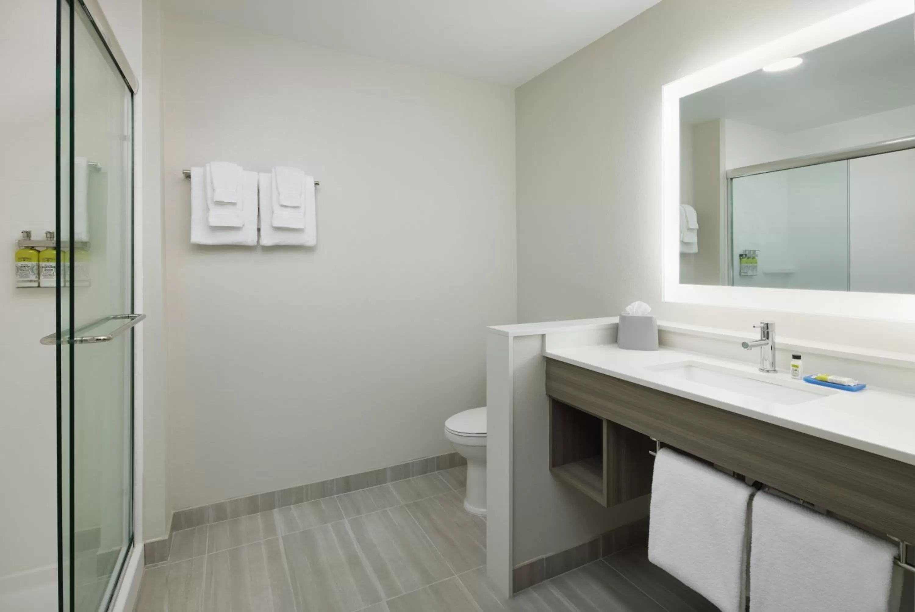 Bathroom in Holiday Inn Express & Suites Gulf Breeze - Pensacola Area by IHG