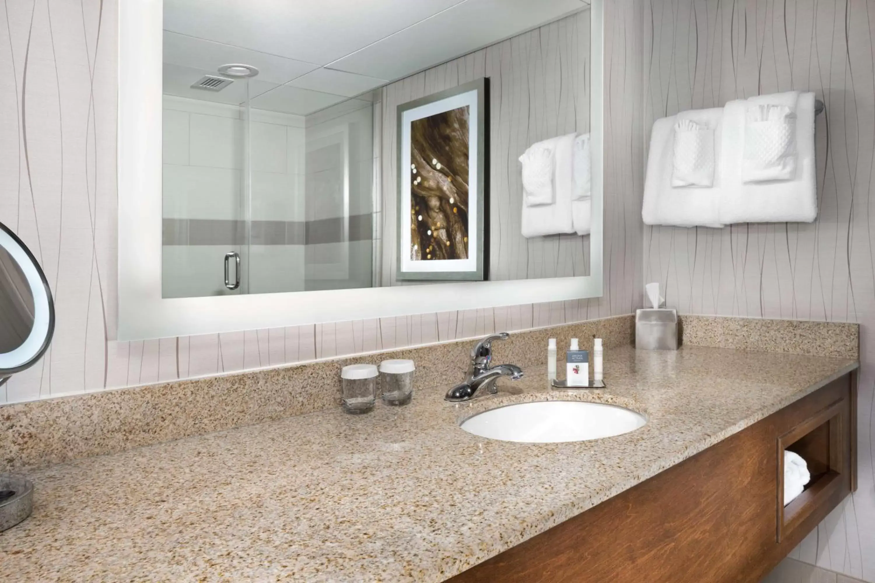 Standard King Room in DoubleTree by Hilton Lawrence Standard King Room in DoubleTree by Hilton Lawrence