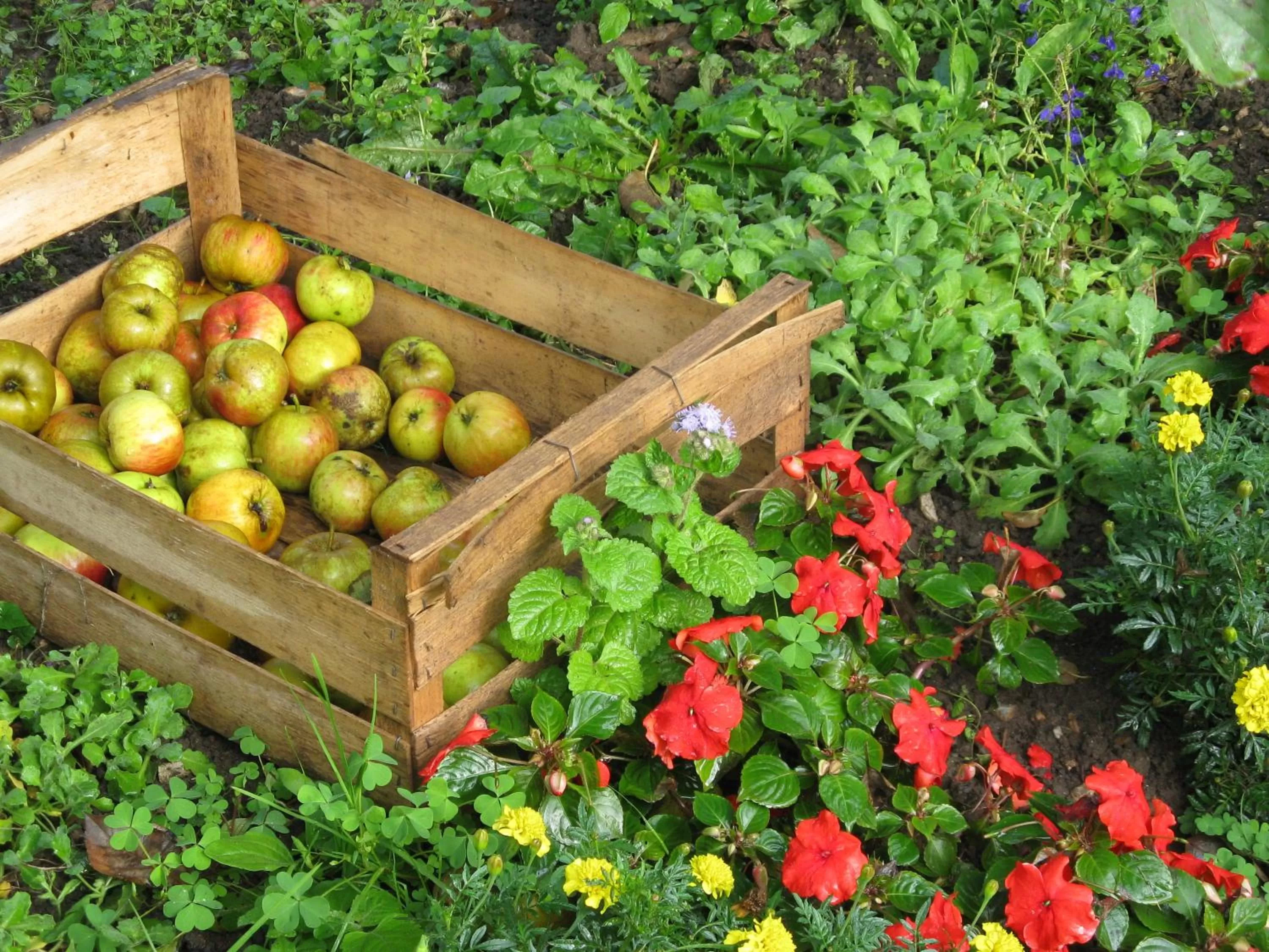 Other in Auberge du Manoir d'Archelles