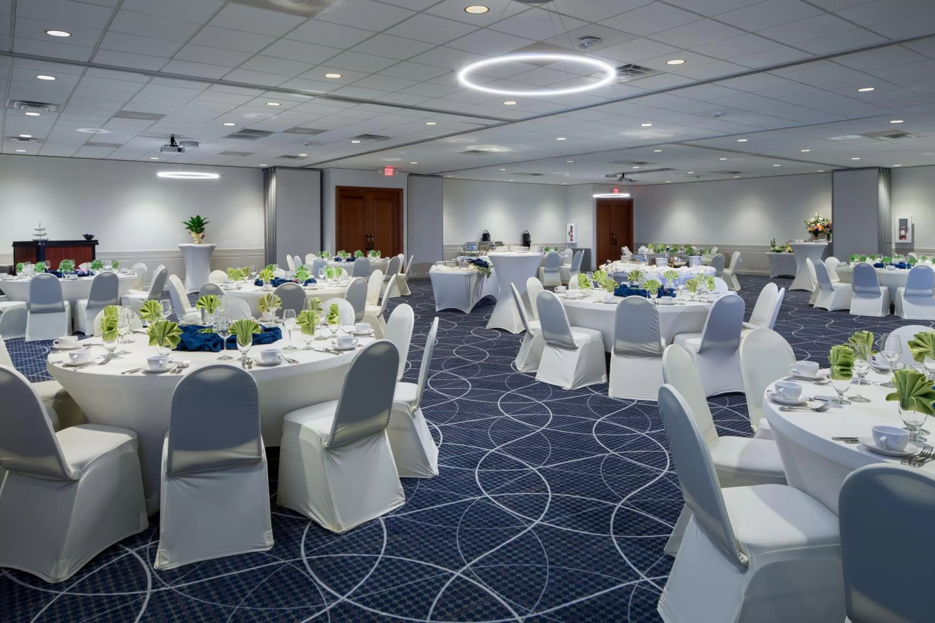Banquet/Function facilities in Holiday Inn and Suites Charleston West by IHG