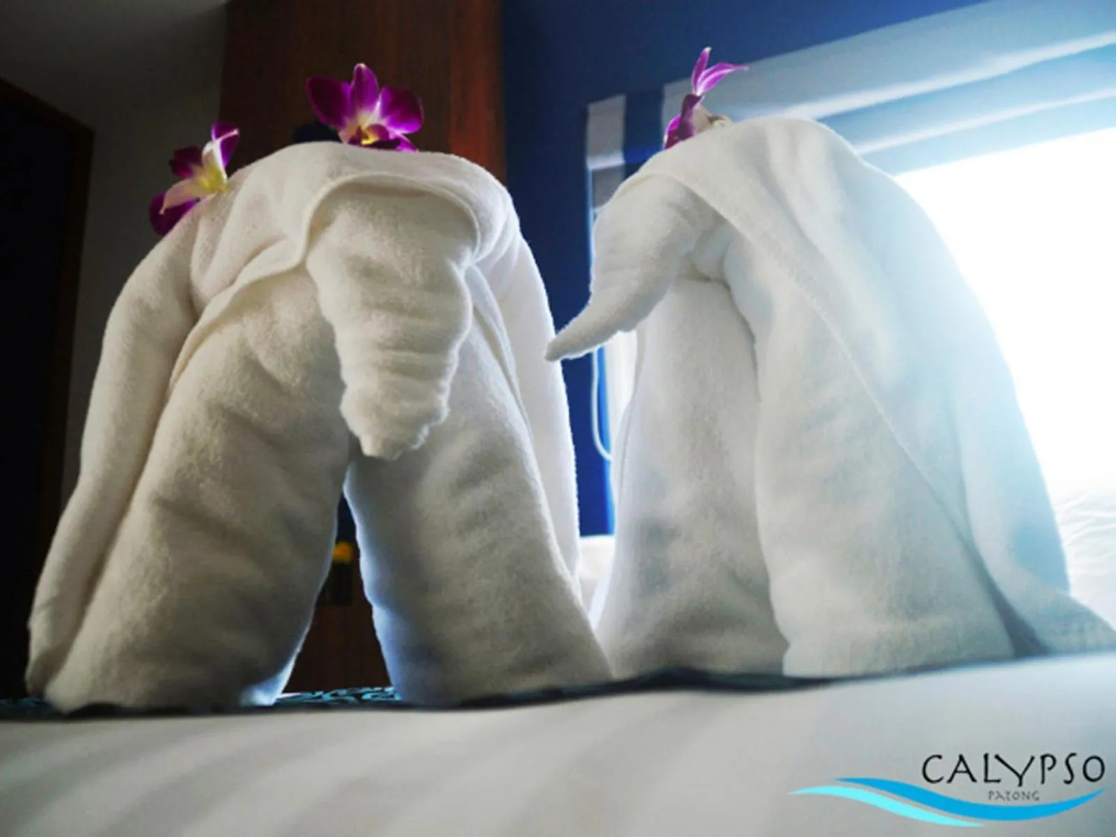 Day in Calypso Patong Hotel