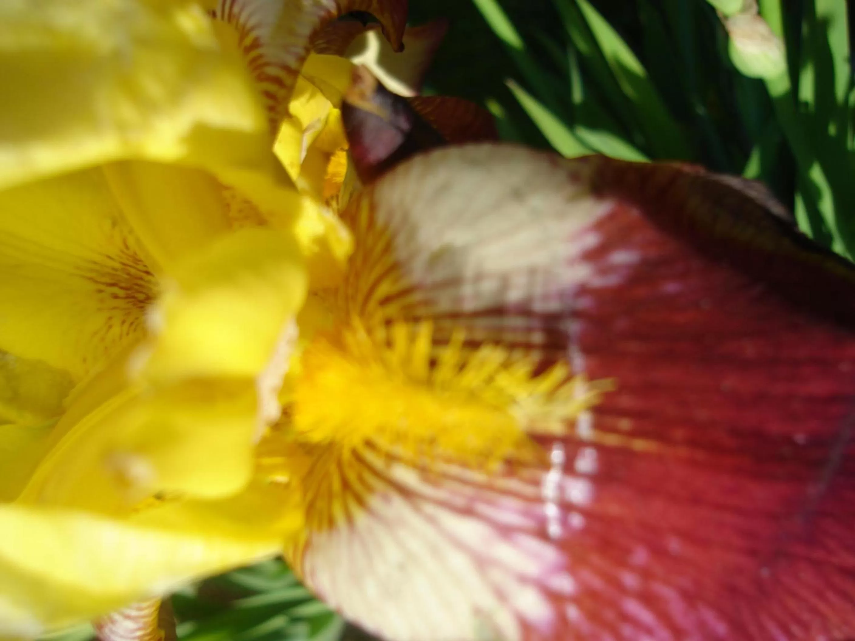 Spring in Hôtel-Logis La Coraline