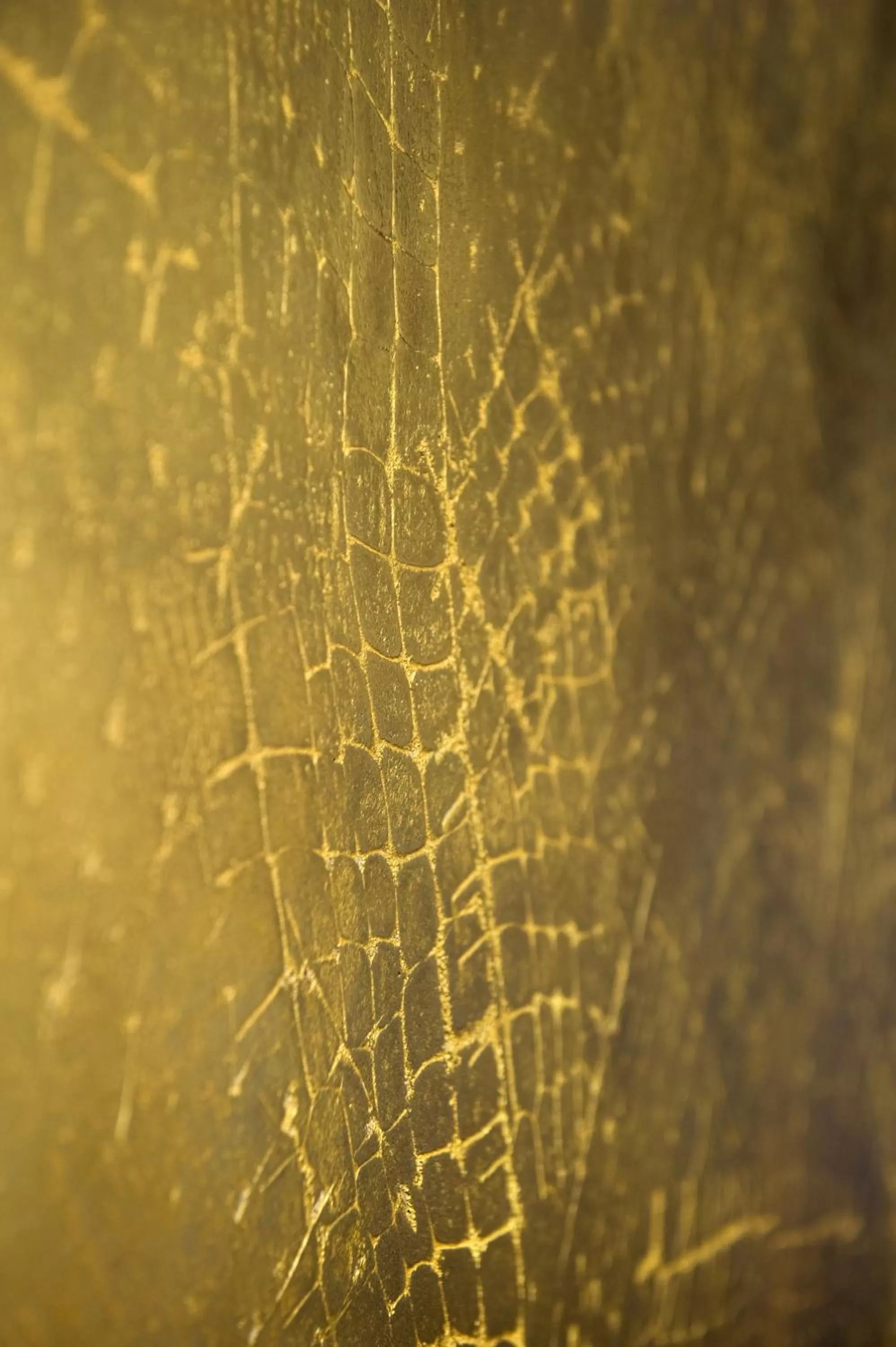 Decorative detail in Hôtel Le Rohan, centre Cathédrale