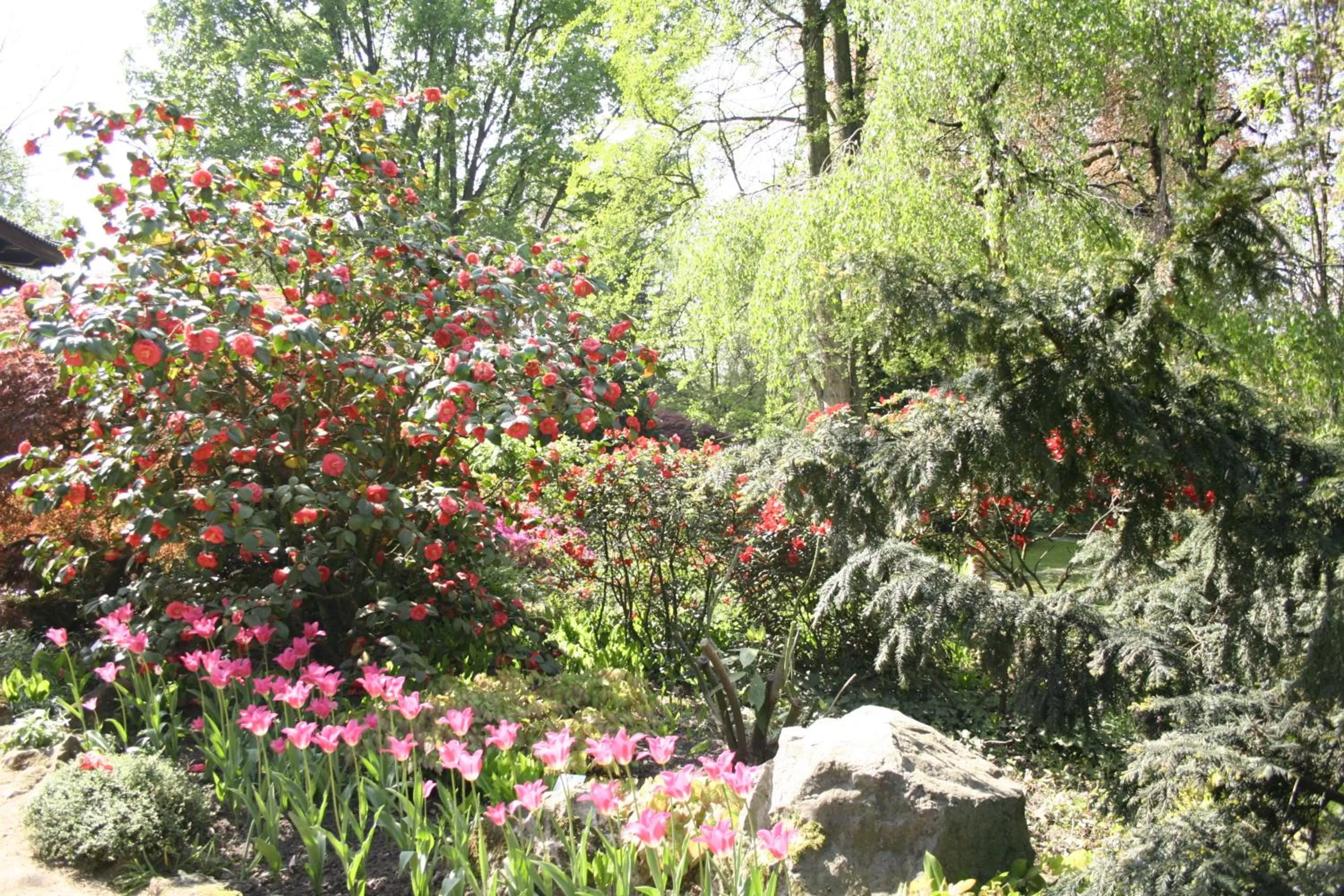 Garden in Kasino Hotel