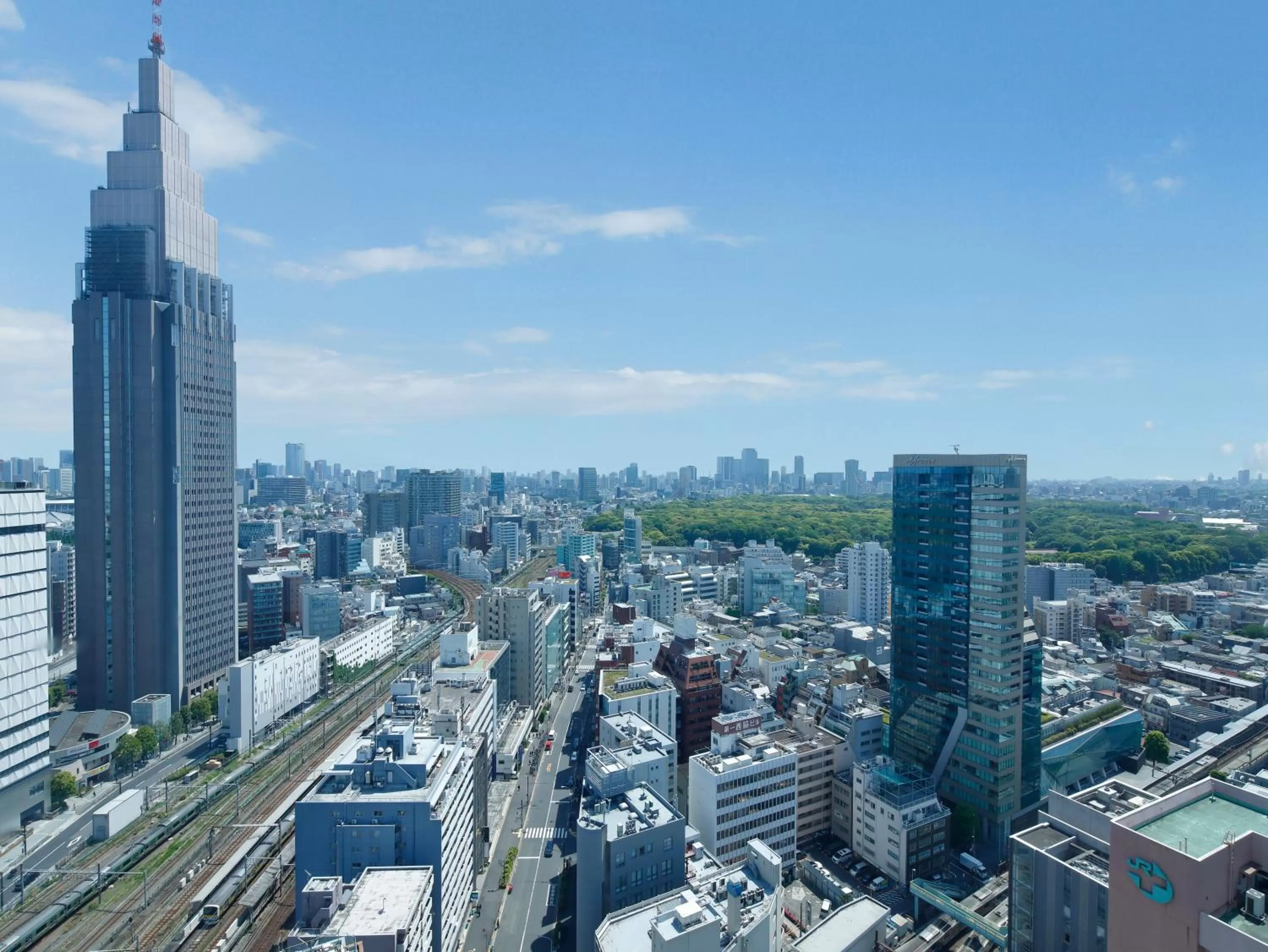 View (from property/room) in Odakyu Hotel Century Southern Tower