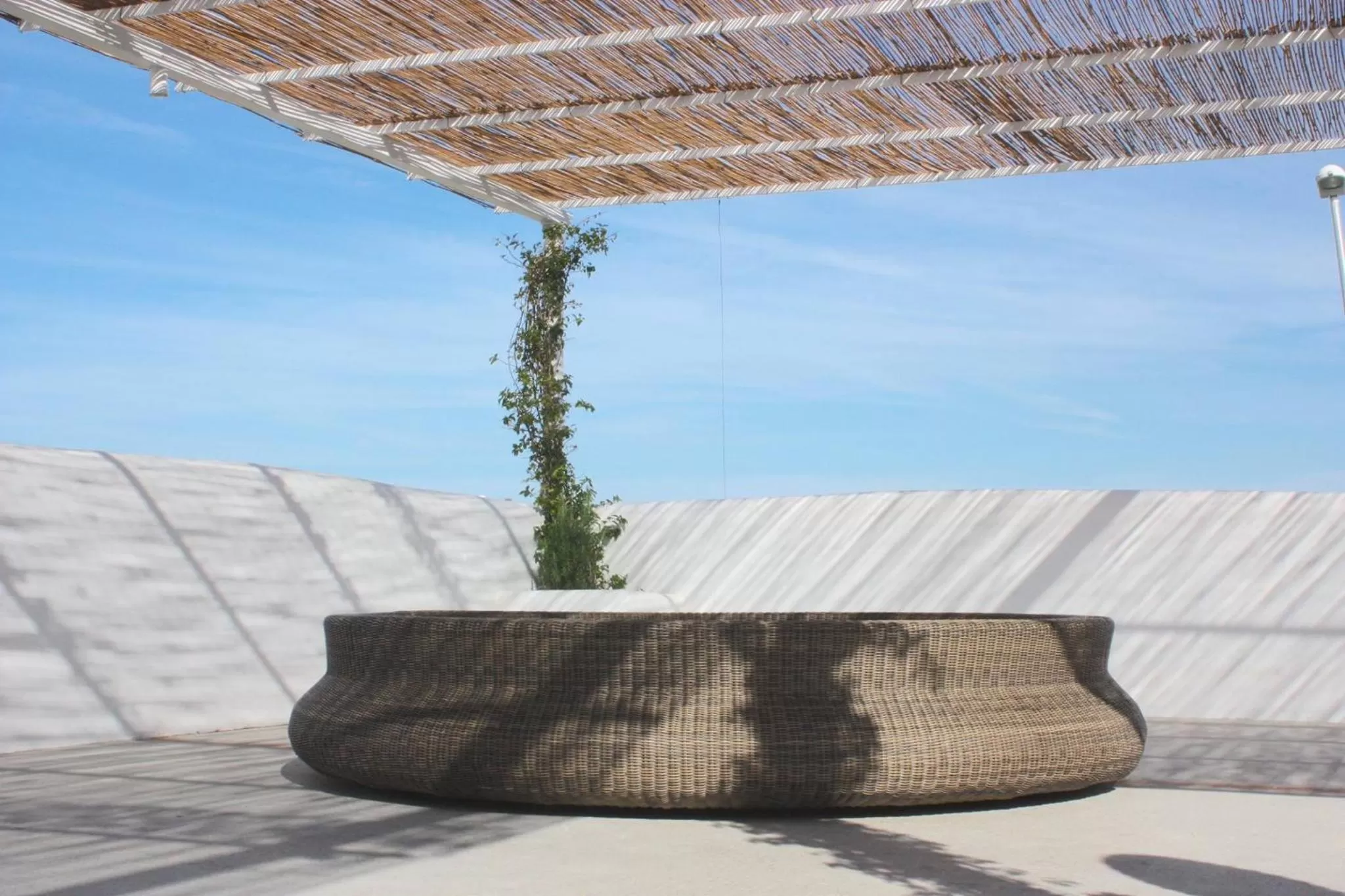 Balcony/Terrace in Hotel Intorno Al Fico