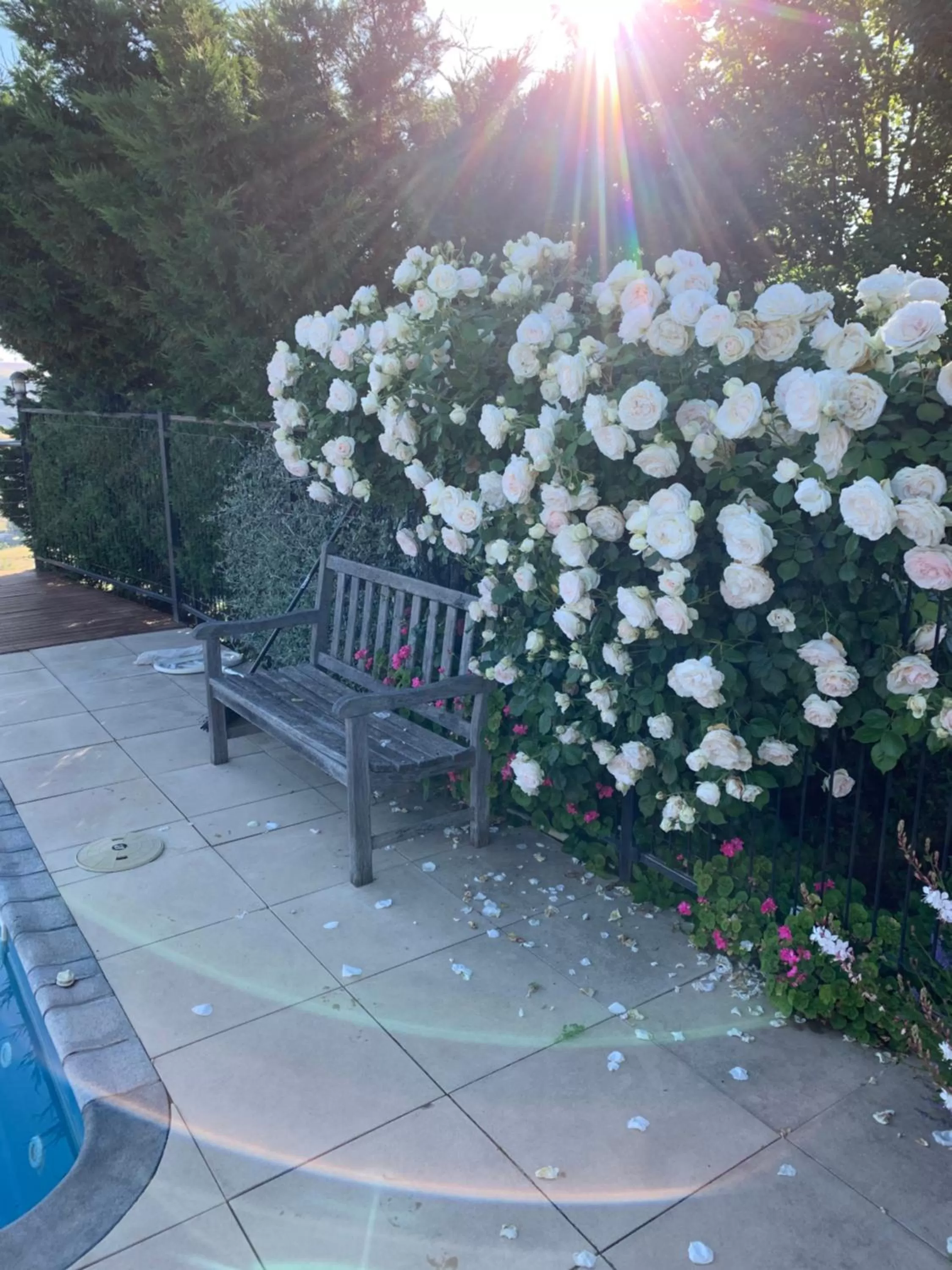 Patio/Outdoor Area in Amazing Views Pet Friendly Bed and Breakfast