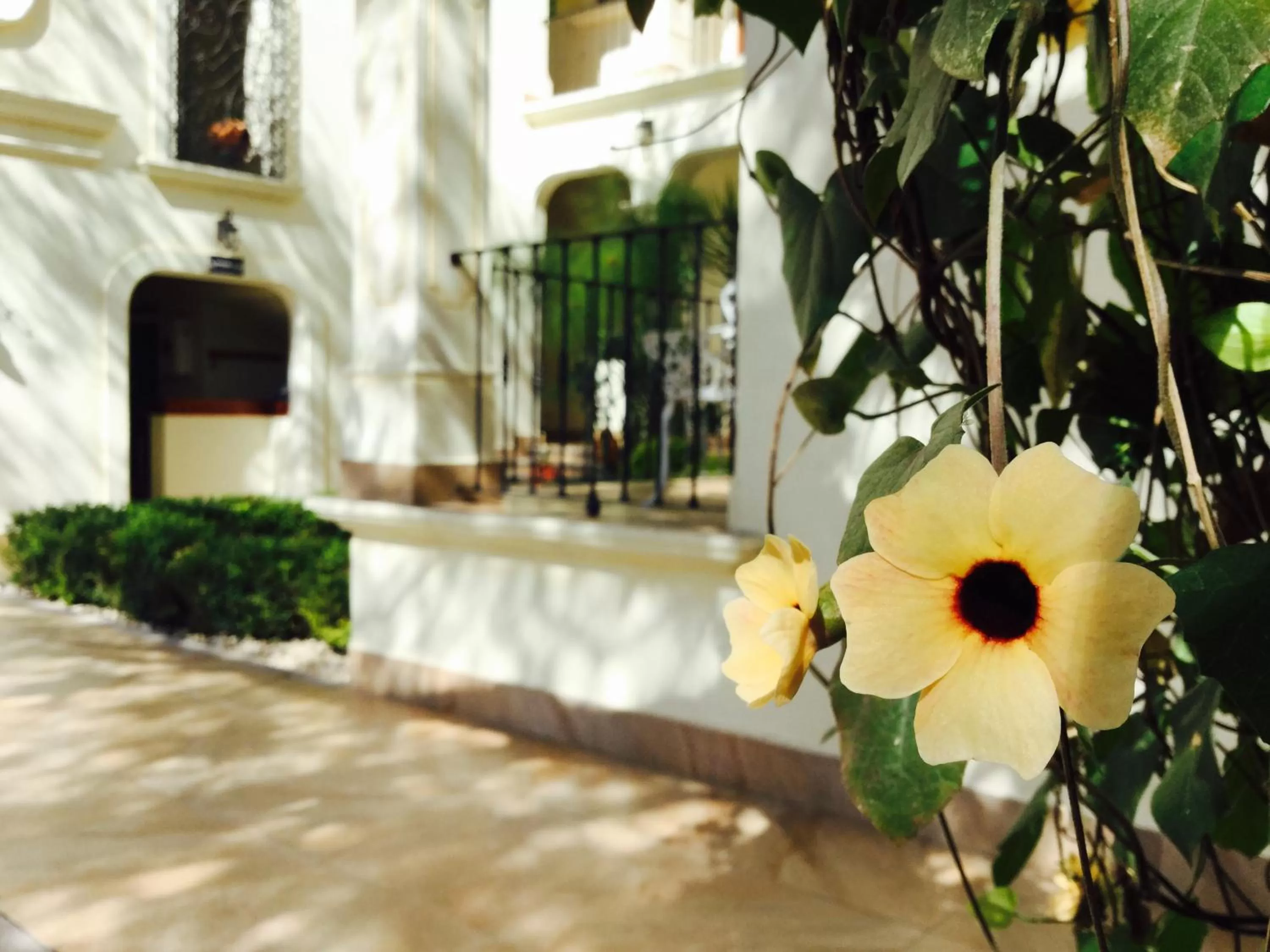 Spring in Hotel Mariazel