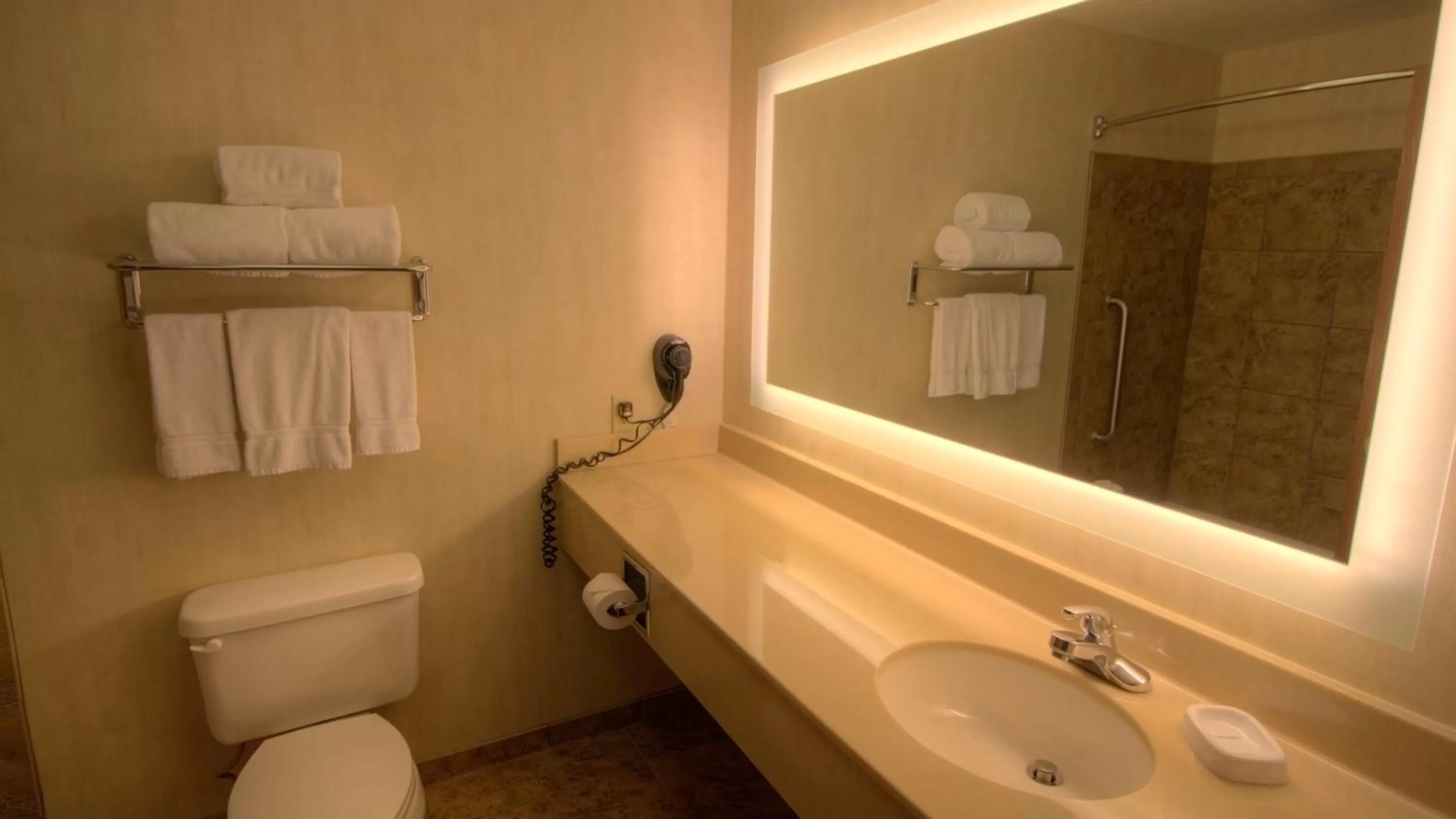 Bathroom in Holiday Inn Express & Suites Sioux Center by IHG