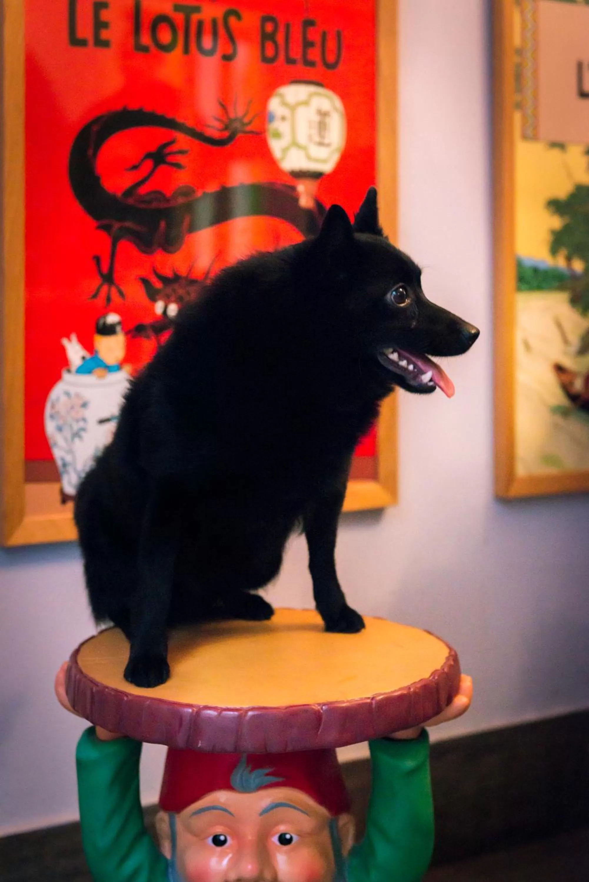 Decorative detail in Hôtel de Roubaix