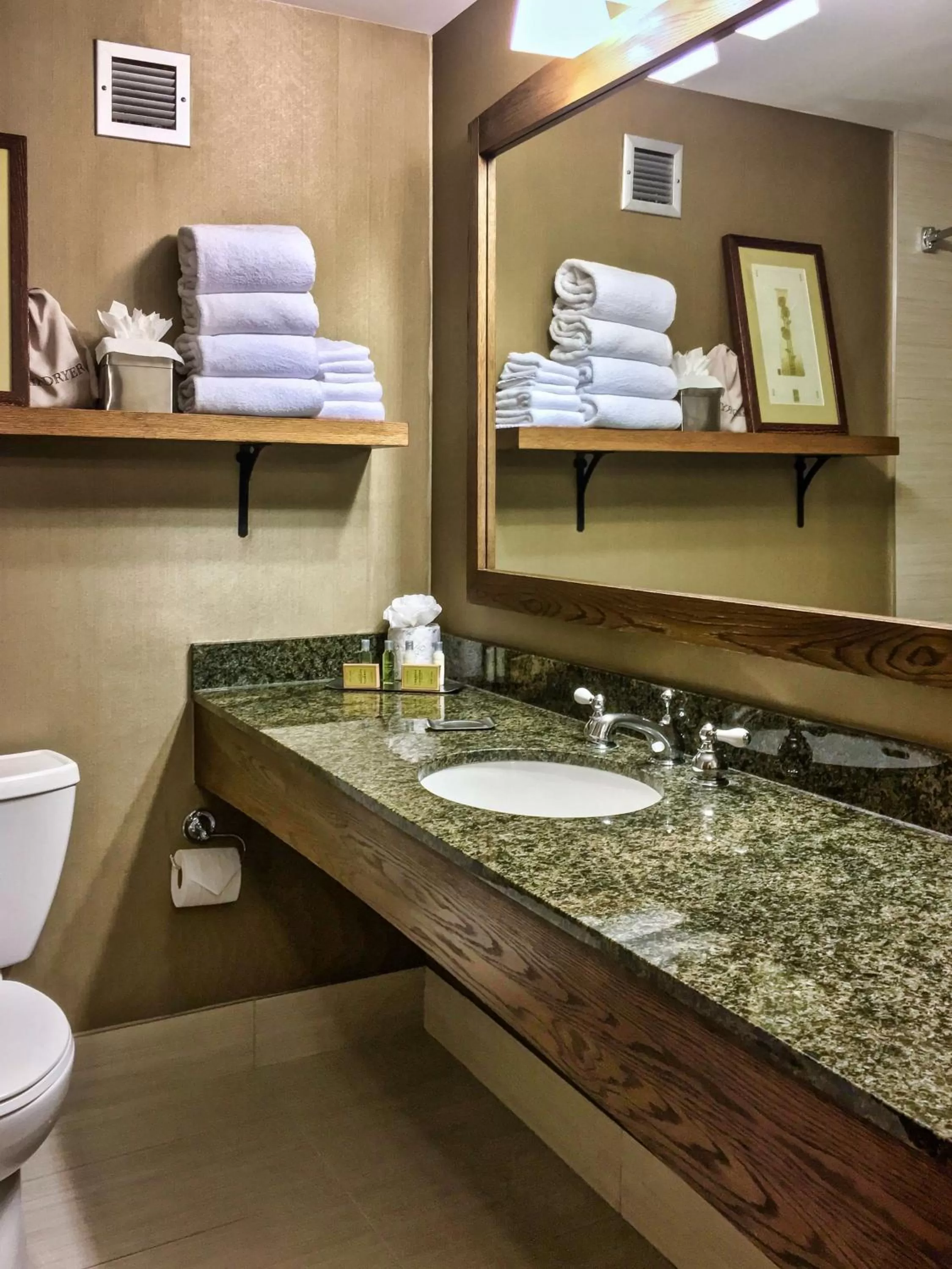 Bathroom in DoubleTree by Hilton Libertyville-Mundelein