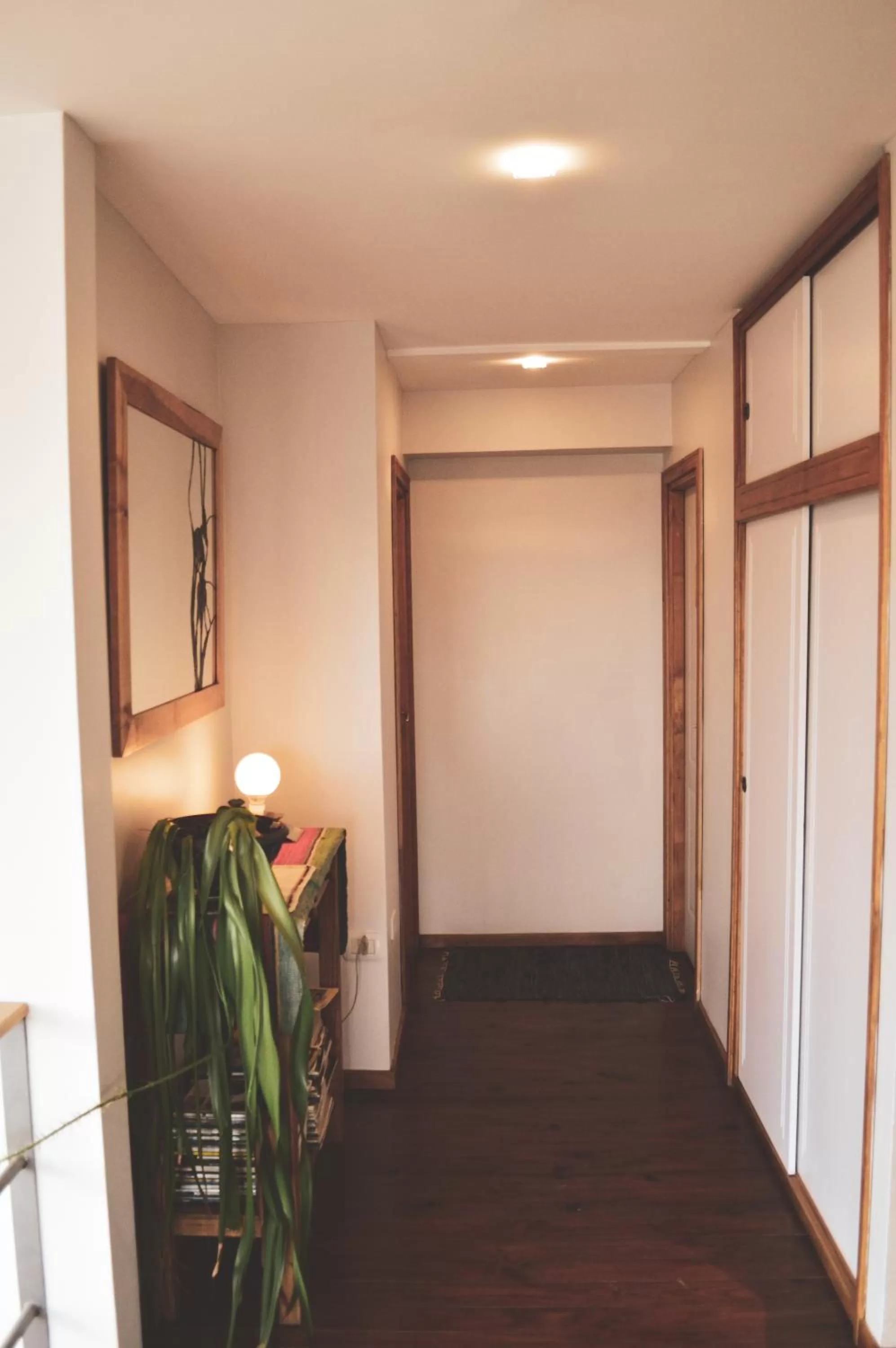 Area and facilities in Hosteria Foike