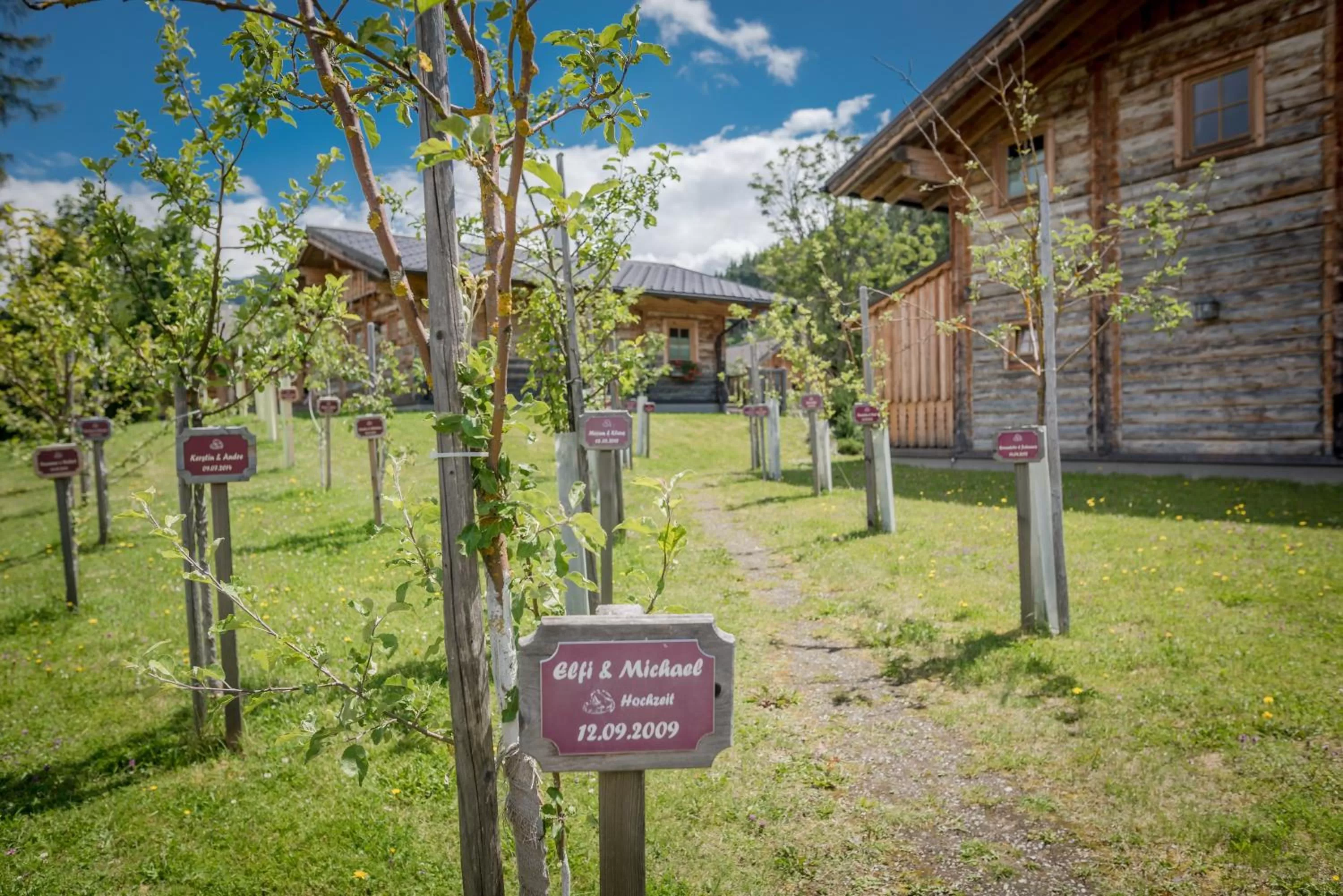 Summer in Almwelt Austria