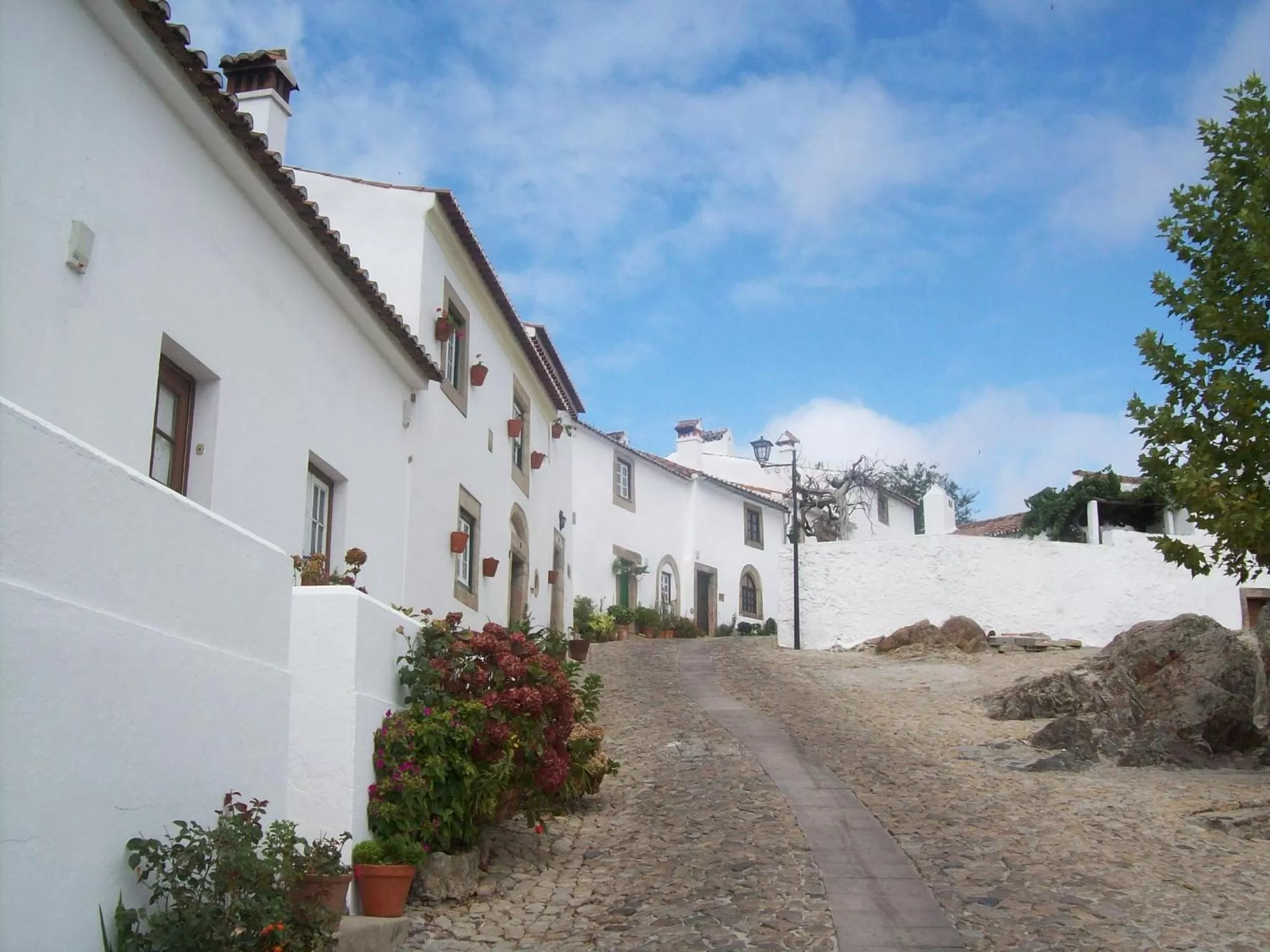 Spring in Dom Dinis Marvão