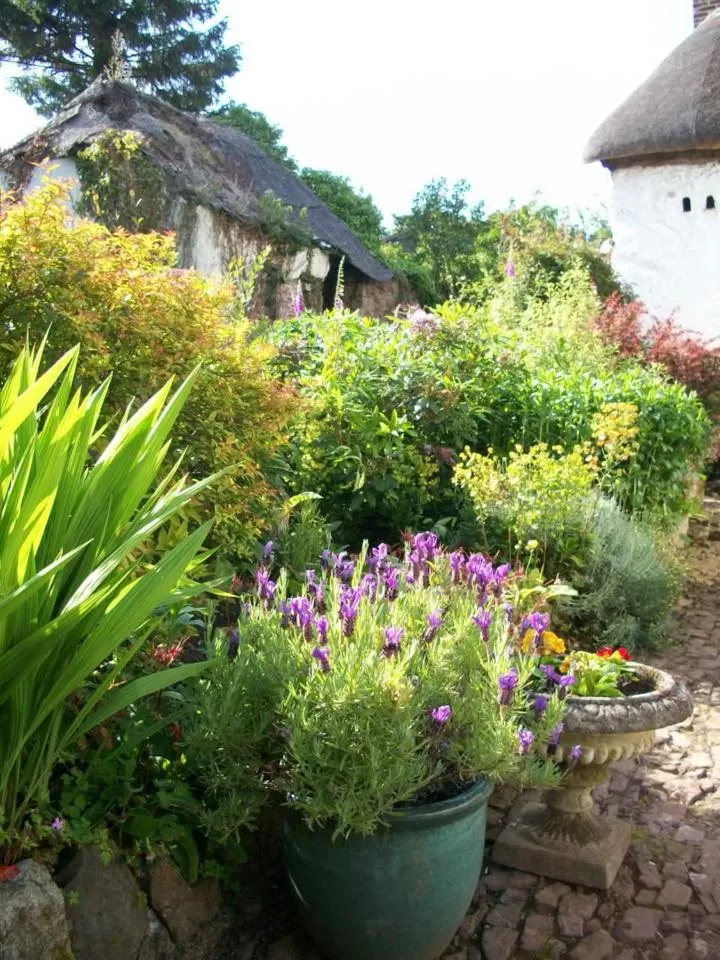 Garden in Middletown Farmhouse B&B