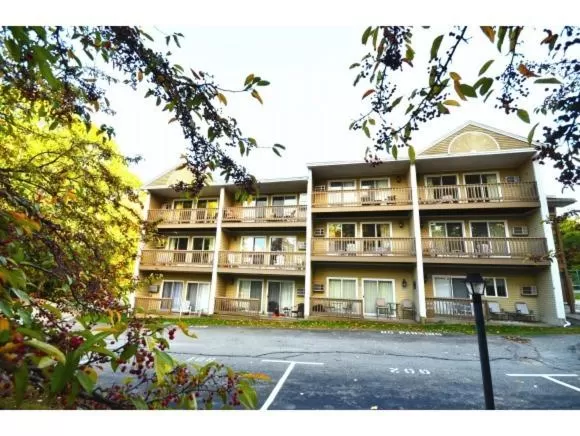 Property Building in Misty Harbor Resort