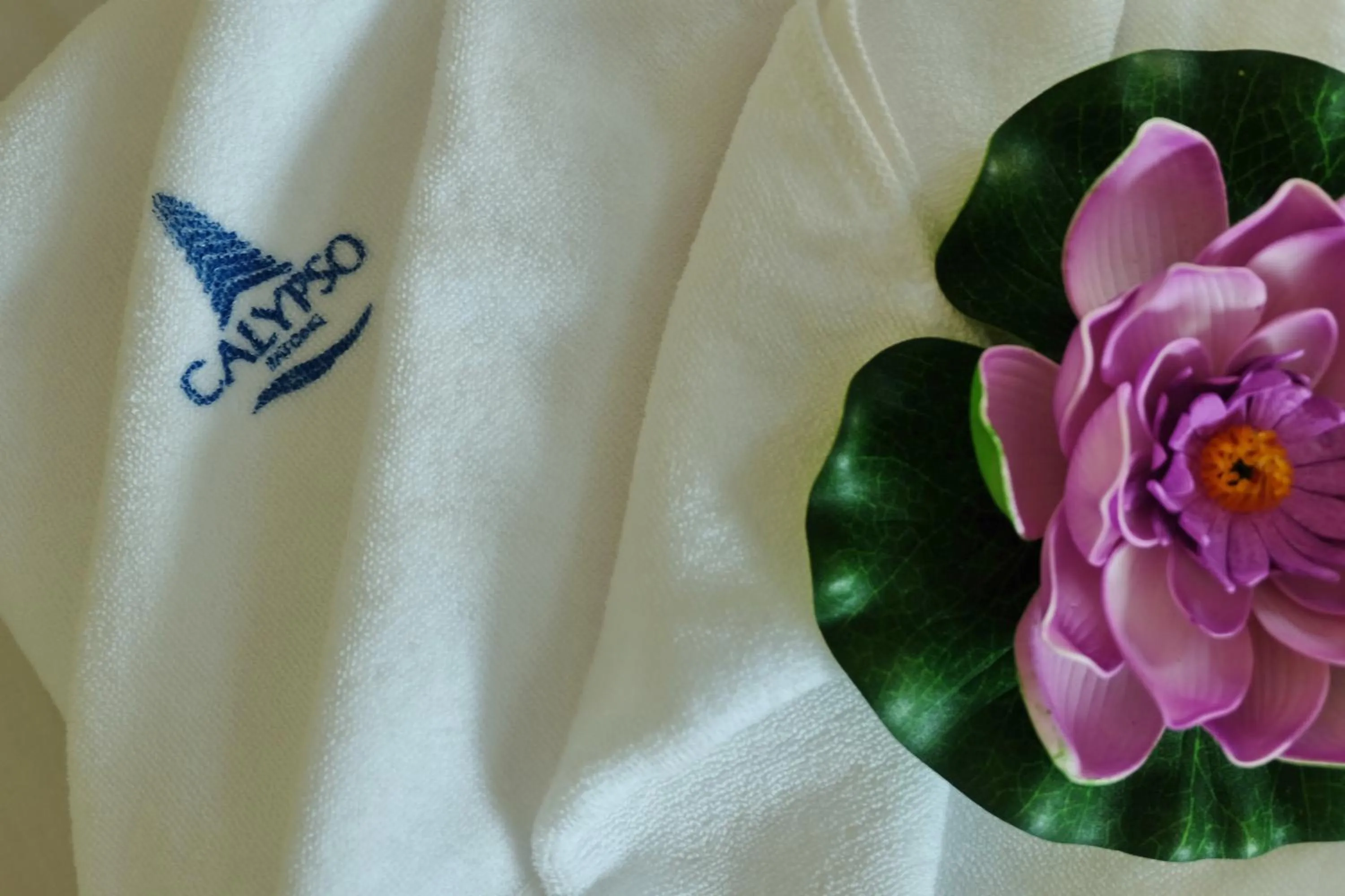 Calypso Patong Hotel