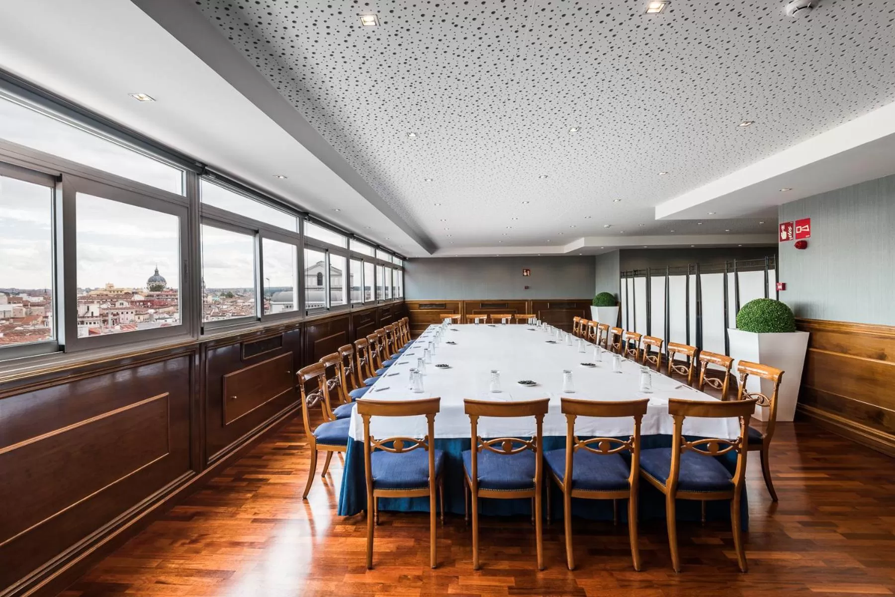 Banquet/Function facilities in Intelier Palacio San Martin