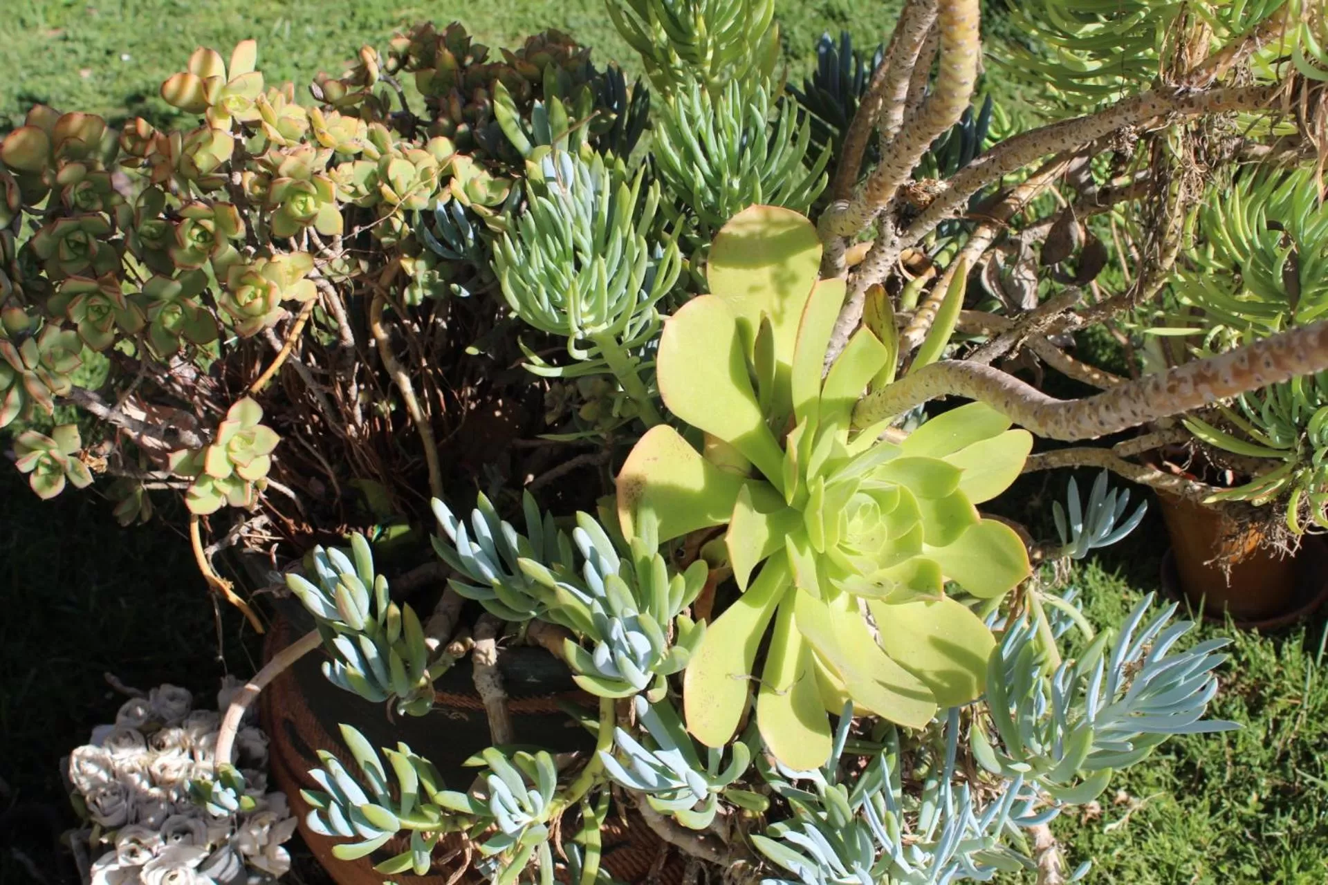 Natural landscape in Sweet Dreams B&B LA