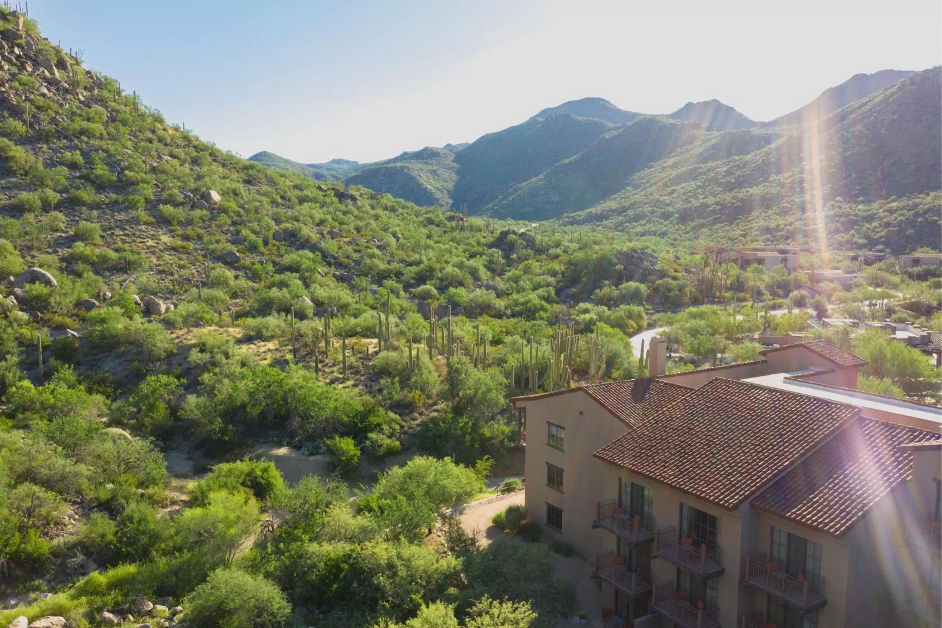 View (from property/room) in The Ritz-Carlton, Dove Mountain