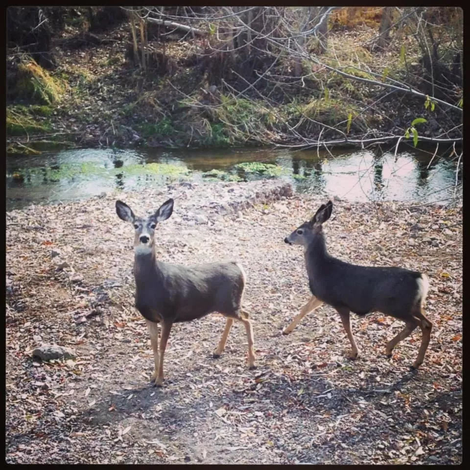 Autumn in Shady Motel