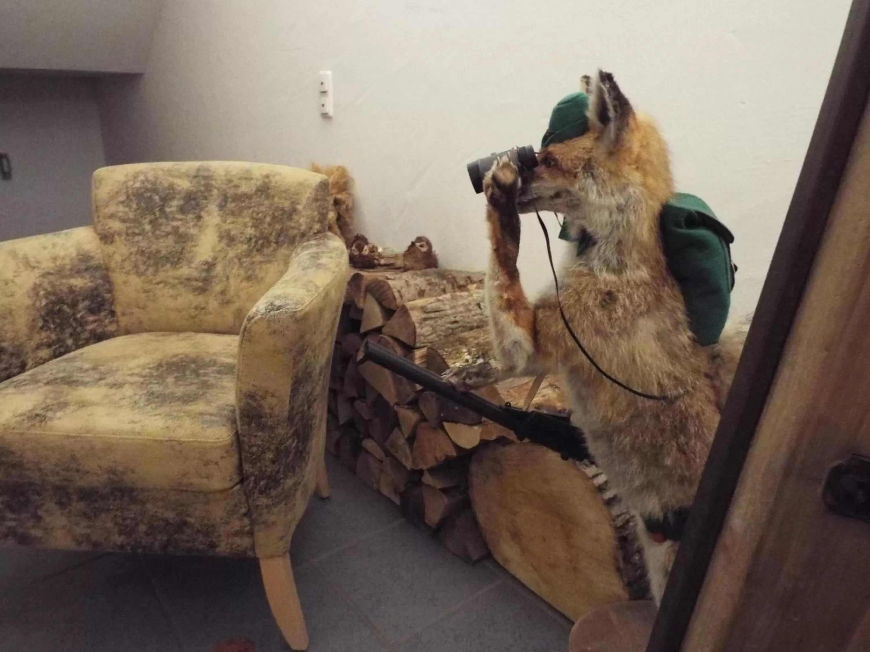 Pets in Hotel Isartaler Hof