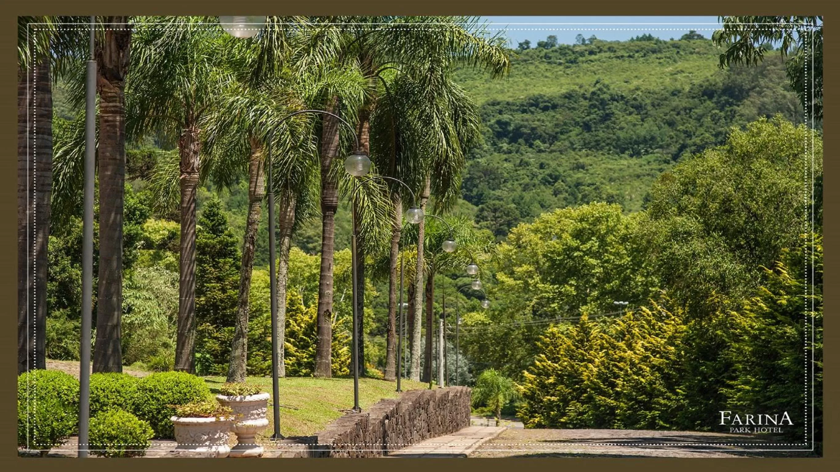 Garden in Farina Park Hotel