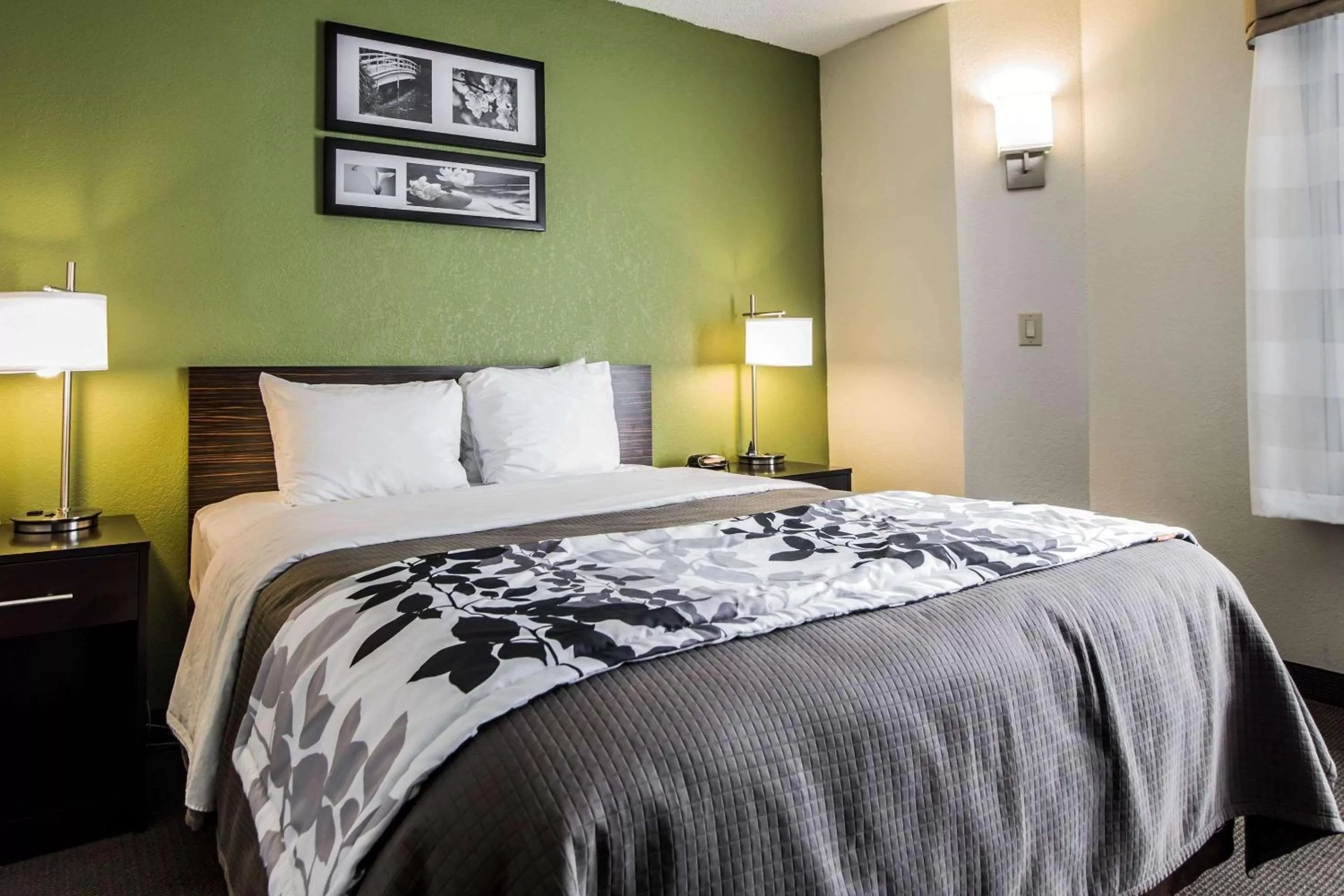 Photo of the whole room, Bed in Sleep Inn Columbia Airport