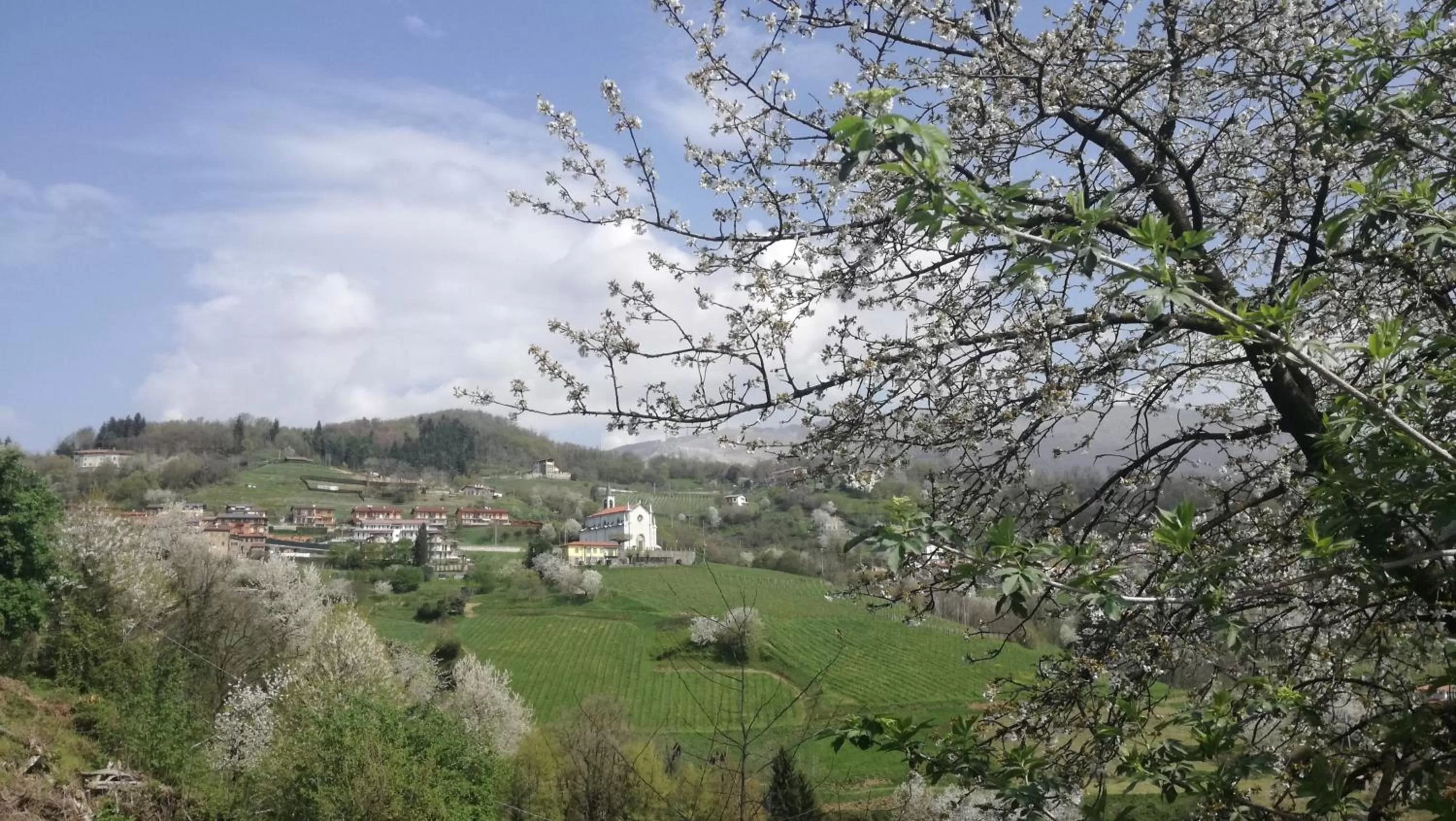 Natural landscape in La Marina Resort