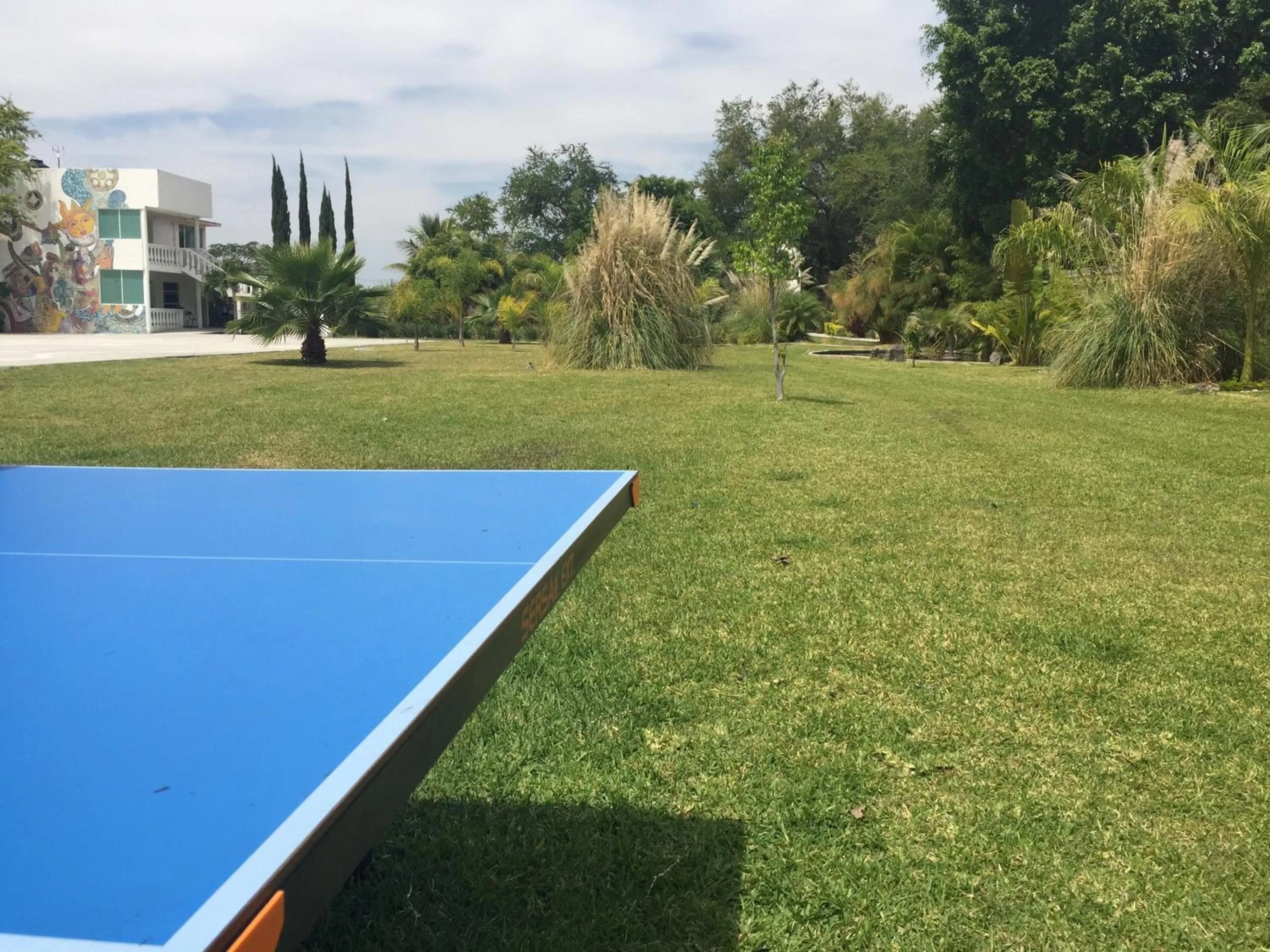 Entertainment in Quinta Souffle