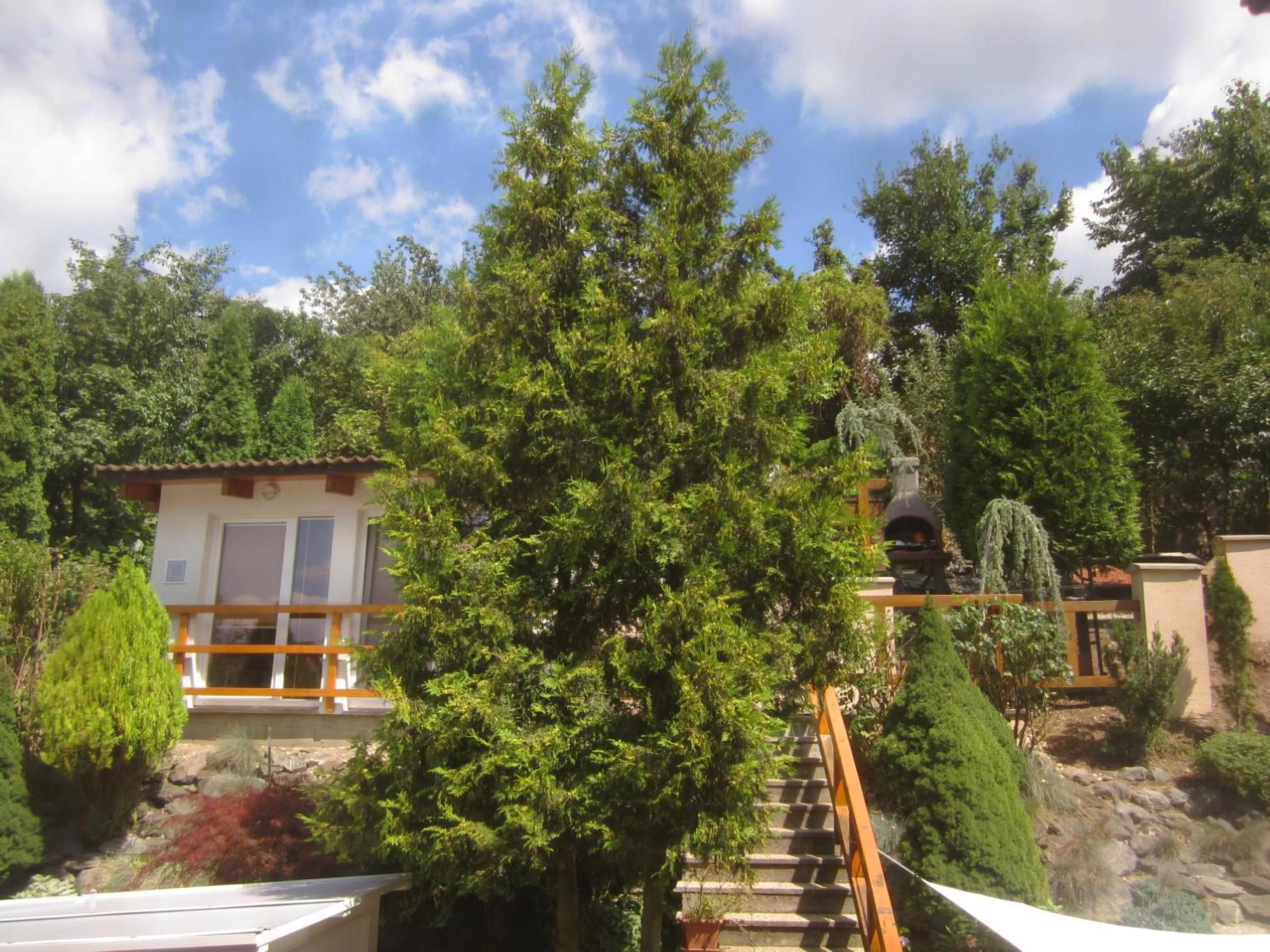 Garden view in Spa & Pool Apartment Hotel - Restaurant VILLA IVICA