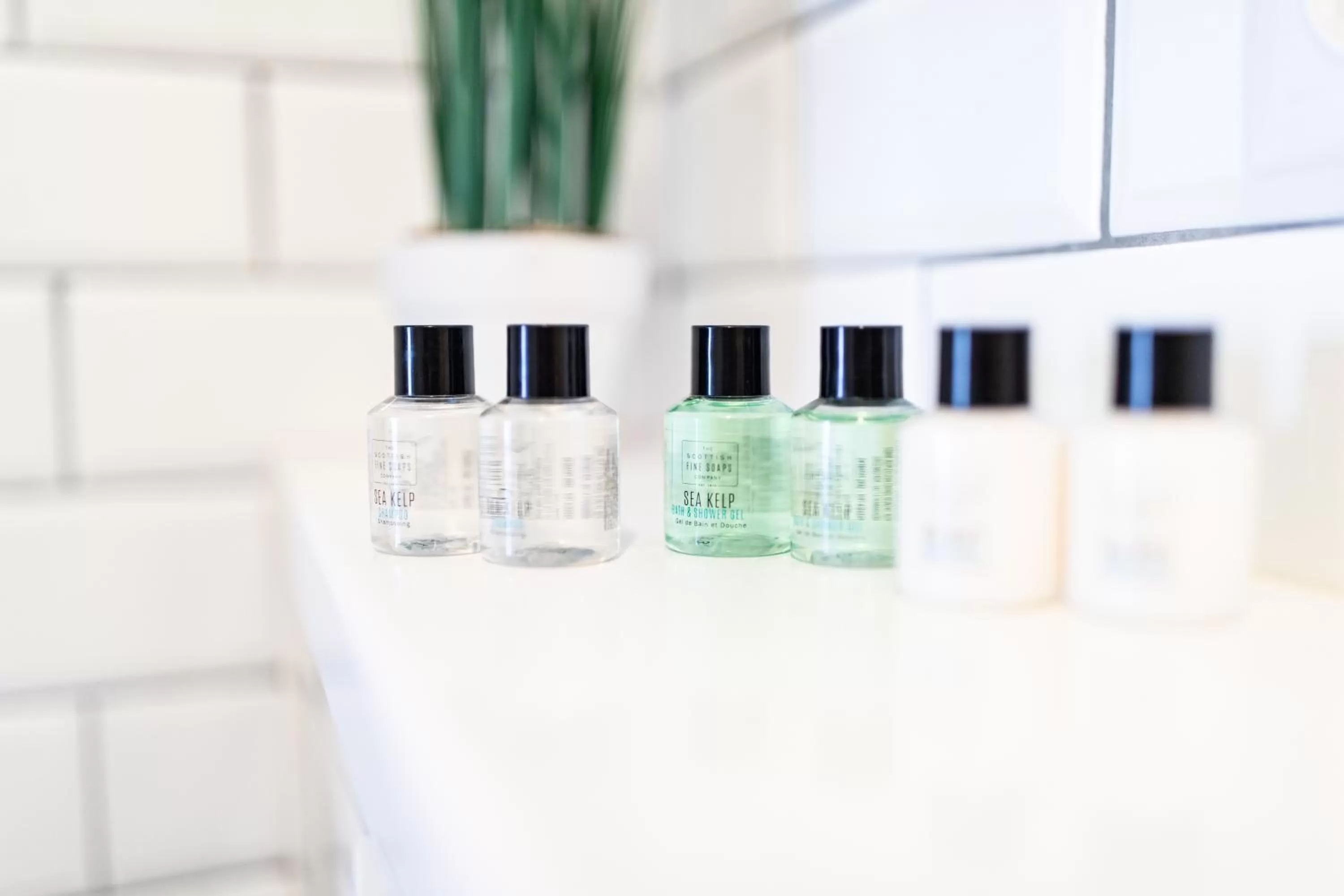 Decorative detail in ALBERT RESIDENCE Brasov with complimentary parking and 10 percent Food and Drinks