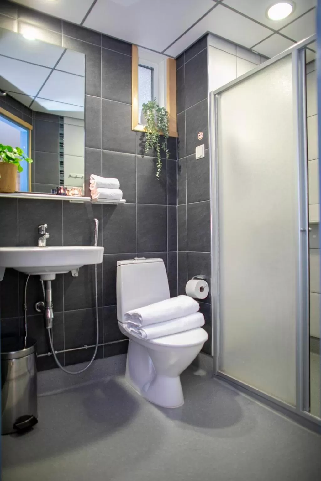 Toilet in Hotel Uusikuu