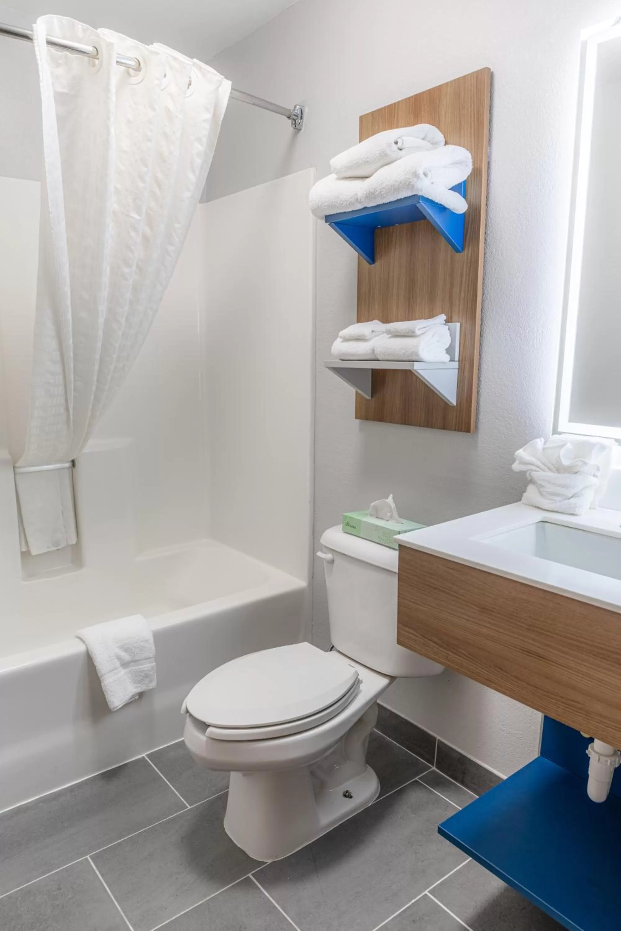 Bathroom in Microtel Inn & Suites by Wyndham Kingsland Naval Base I-95