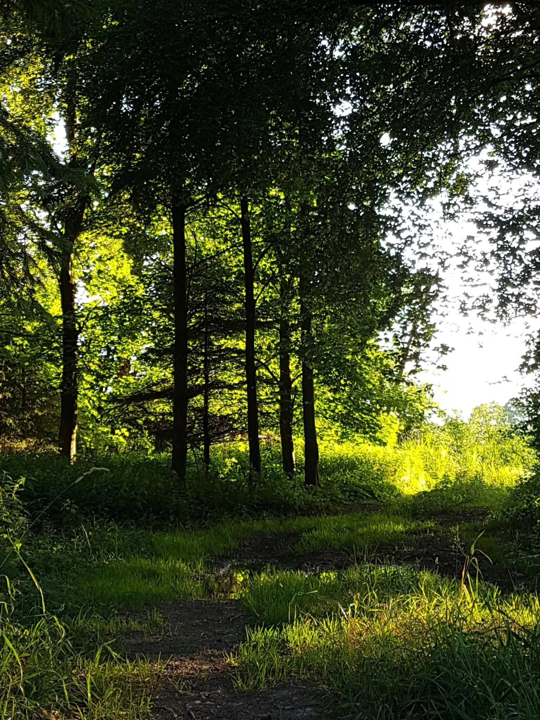 Off site in Kurhotel Anders