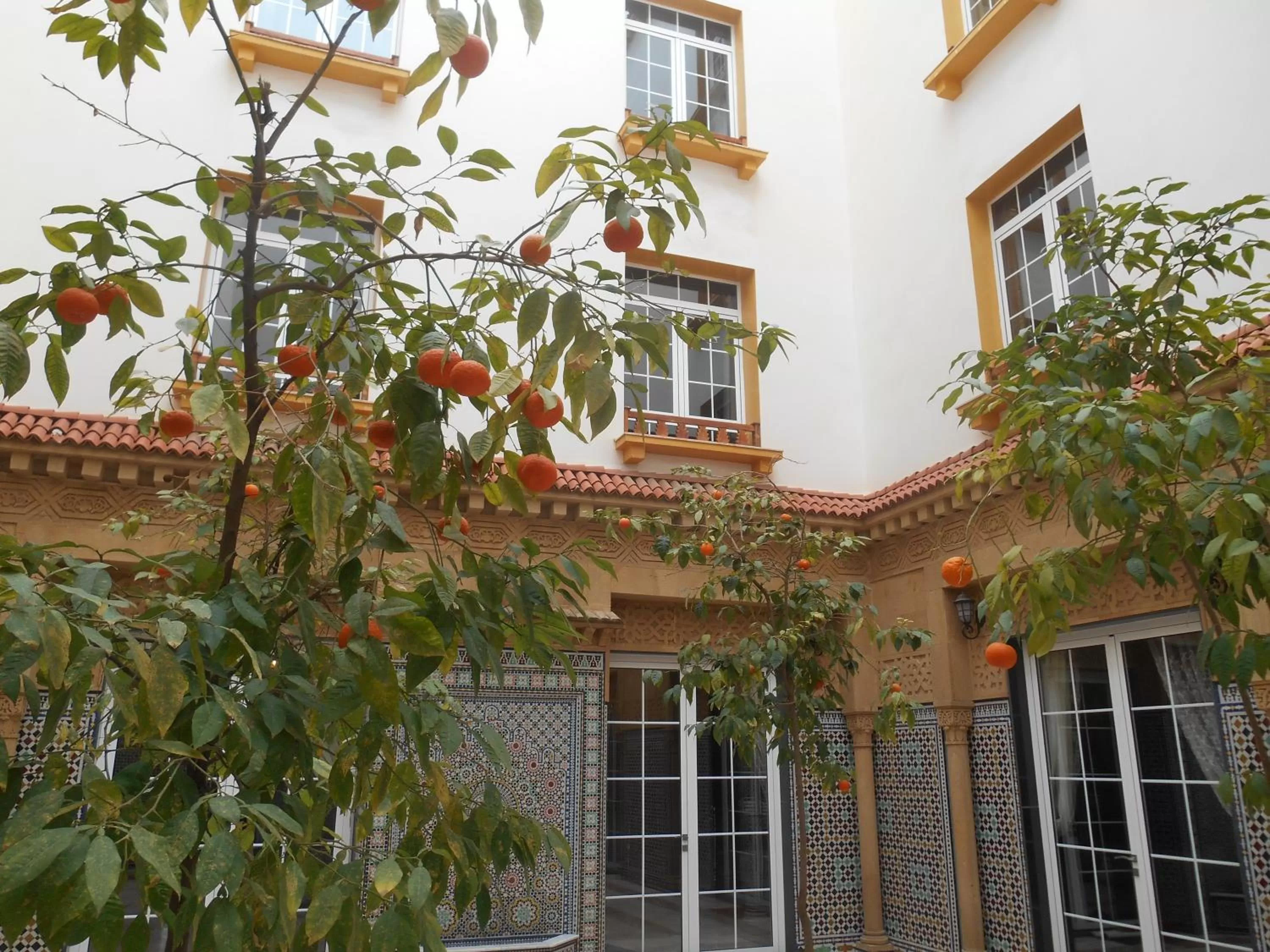 Balcony/Terrace in Dar Nador