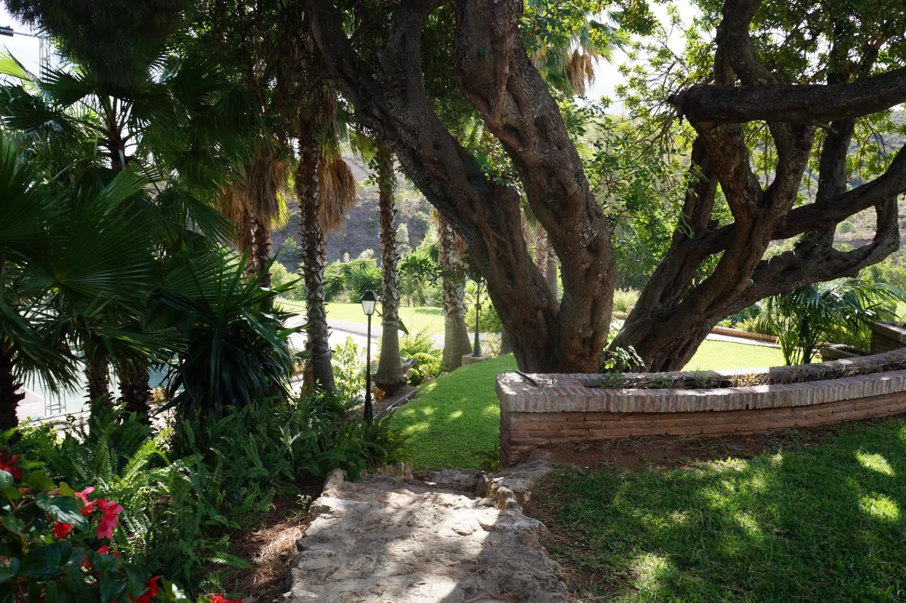 Garden in Alhaurin Golf Hotel