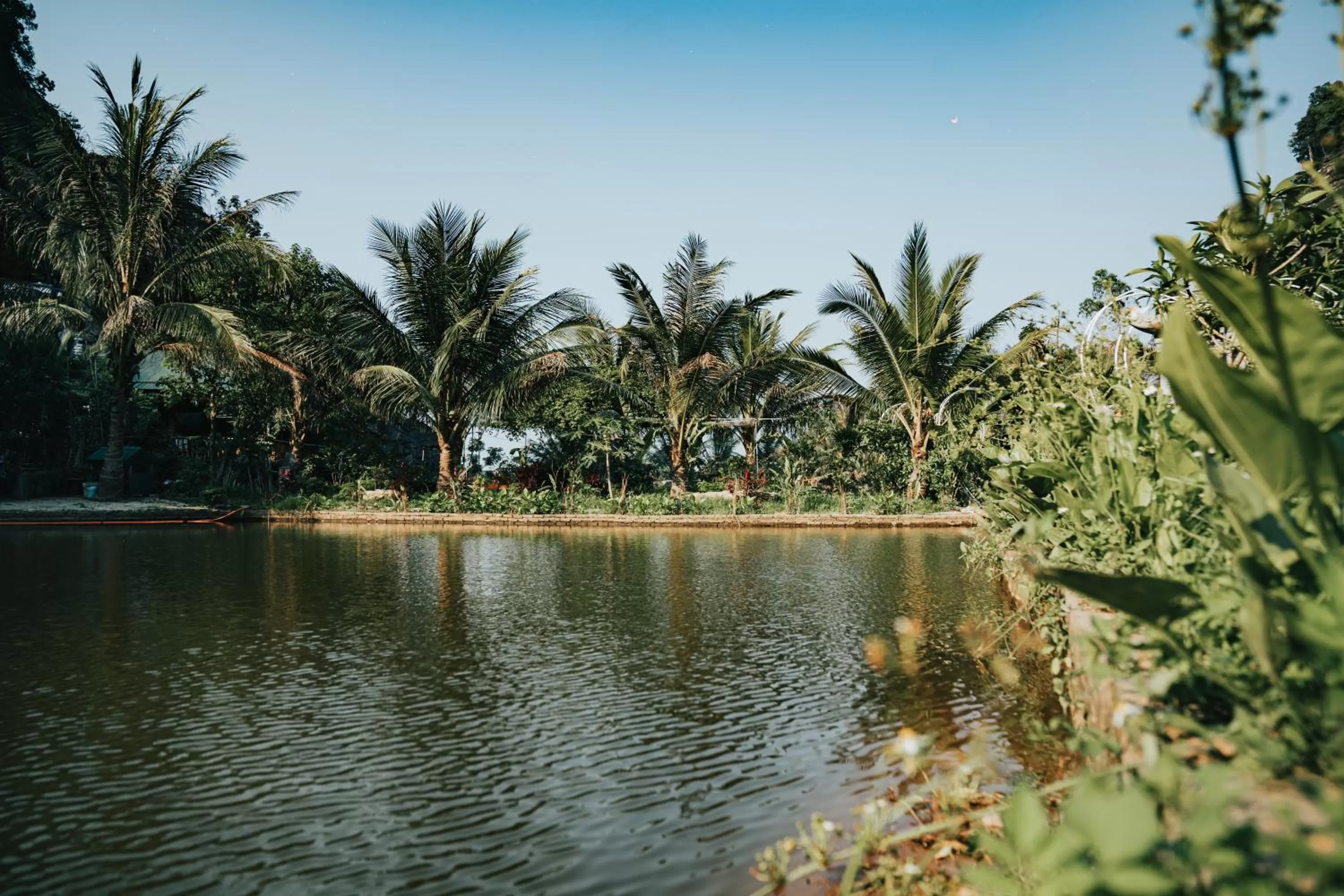 Fairy Mountain Retreat