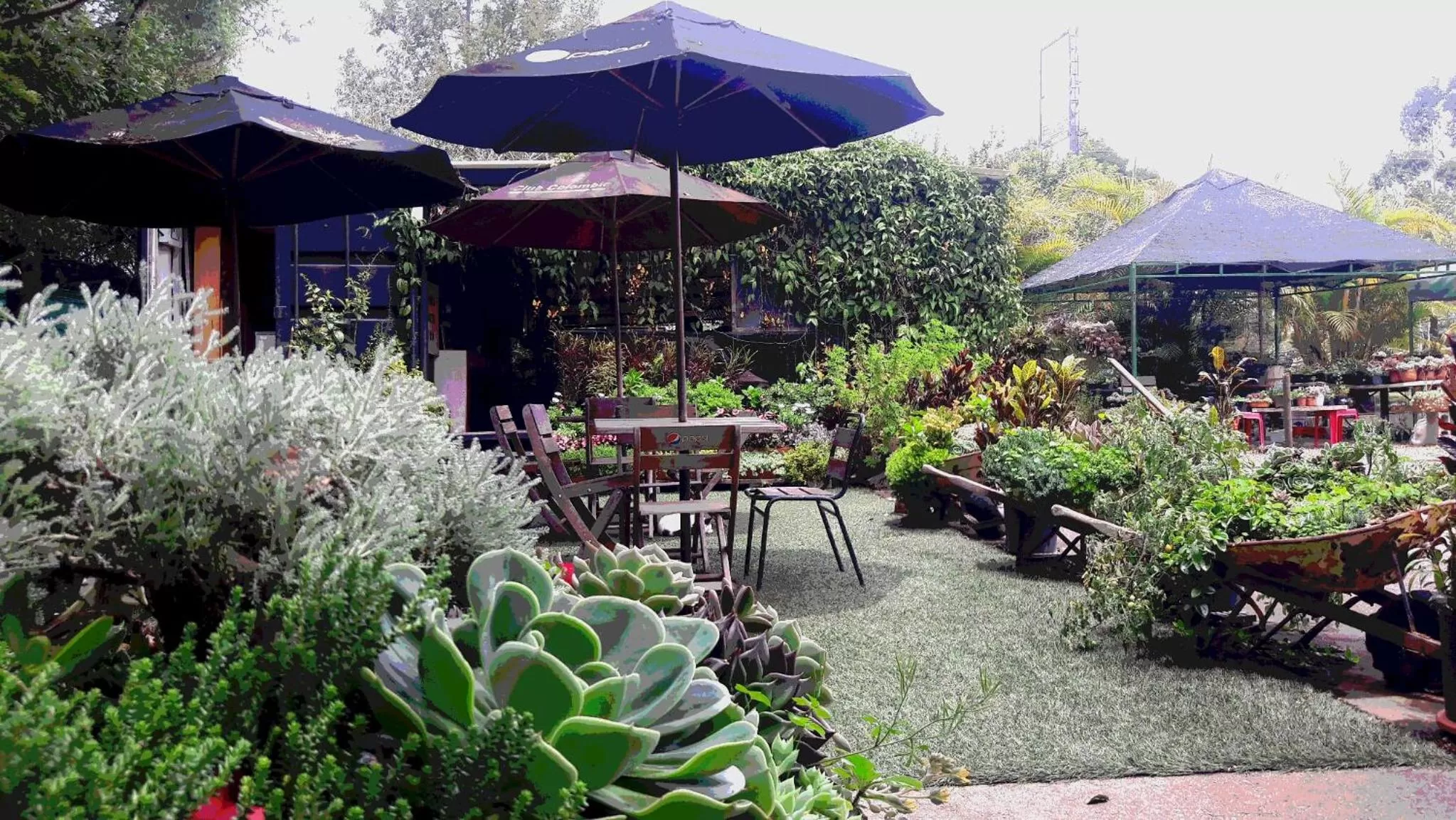 Garden in ALTO LODGING Centro de Entrenamiento Deportivo y Negocios, a 2 pasos del Aeropuerto JMC, Transporte Incluido