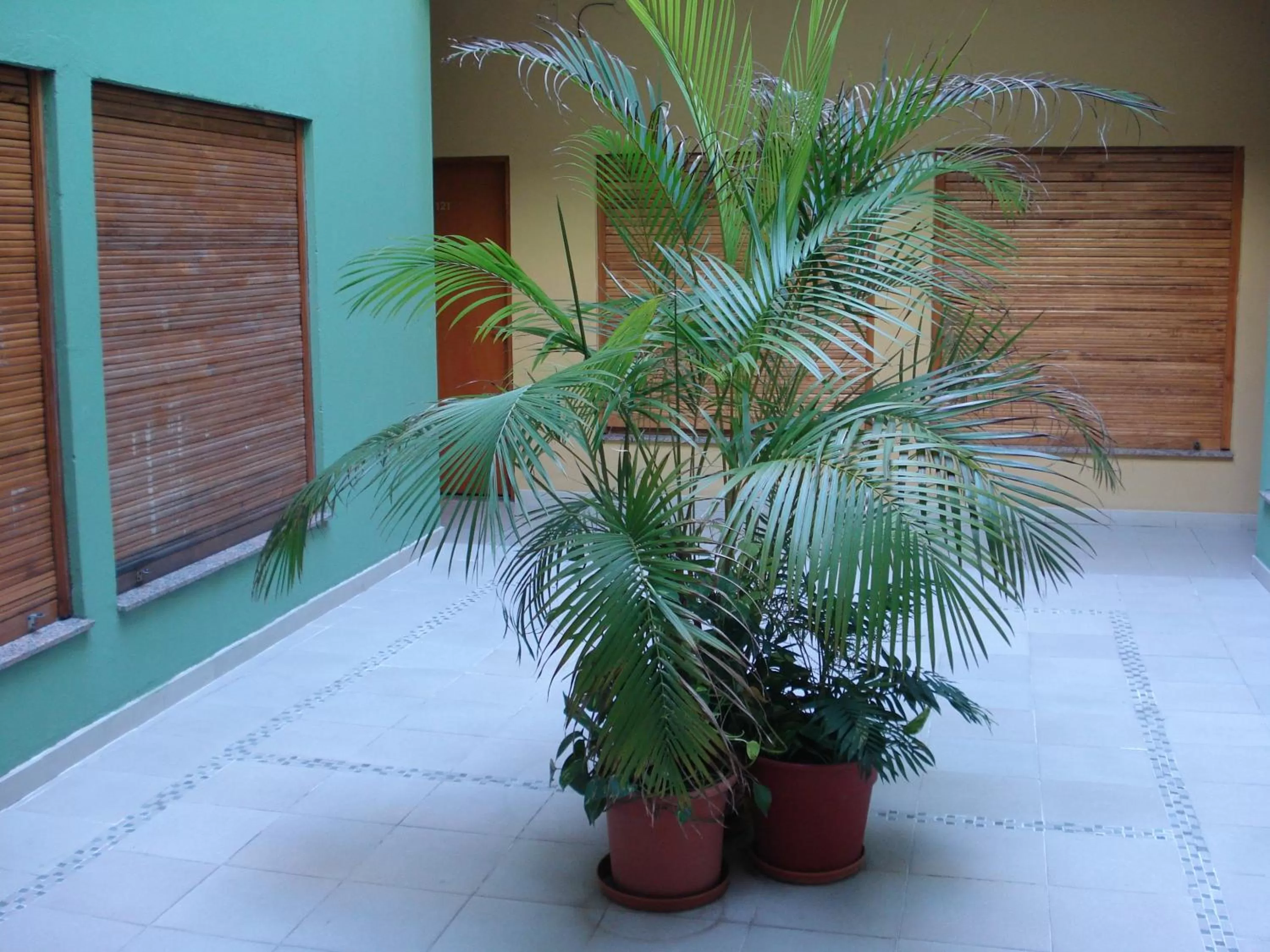 Garden view in Hotel Alcazar