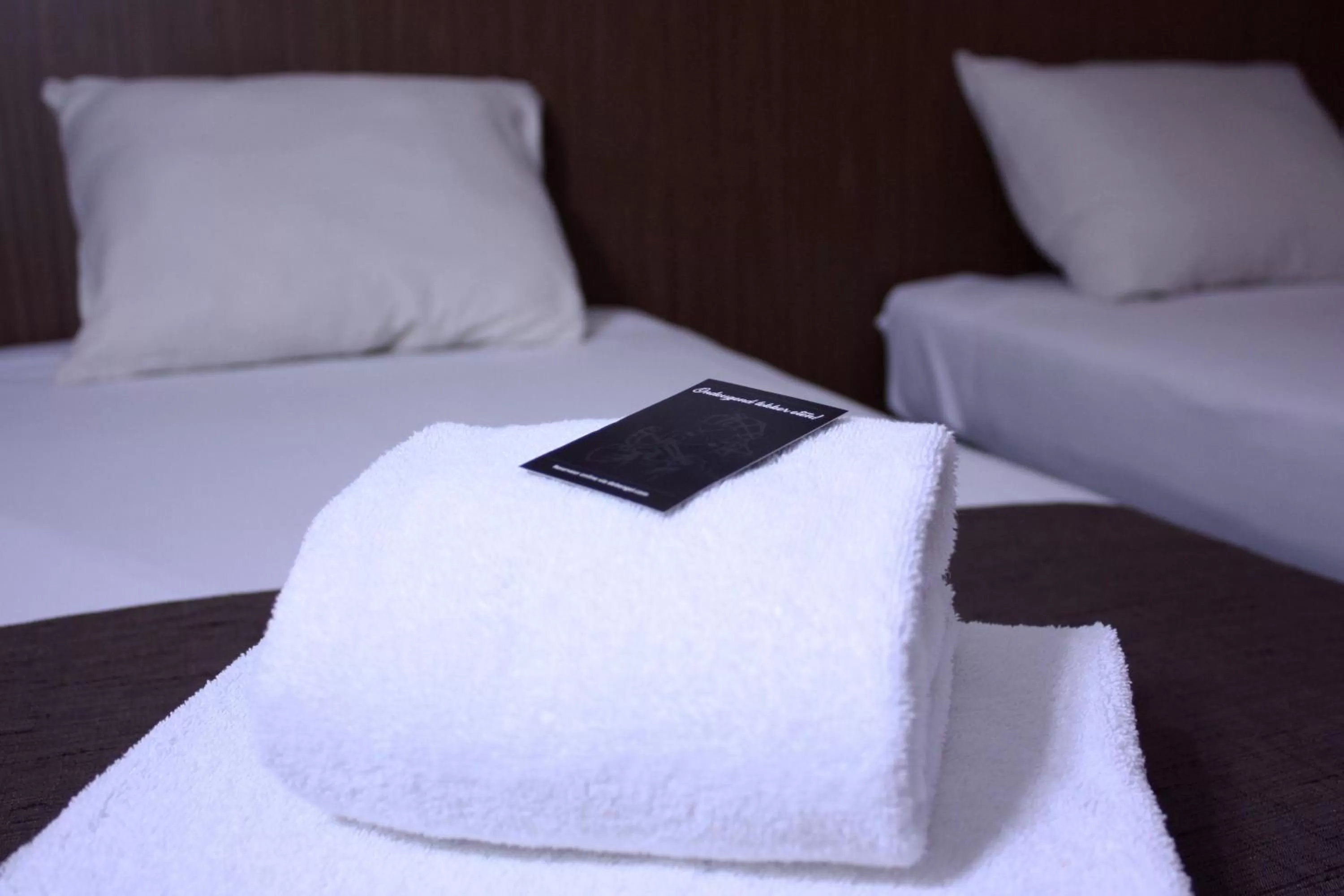 Bed in Hotel Restaurant De Bengel