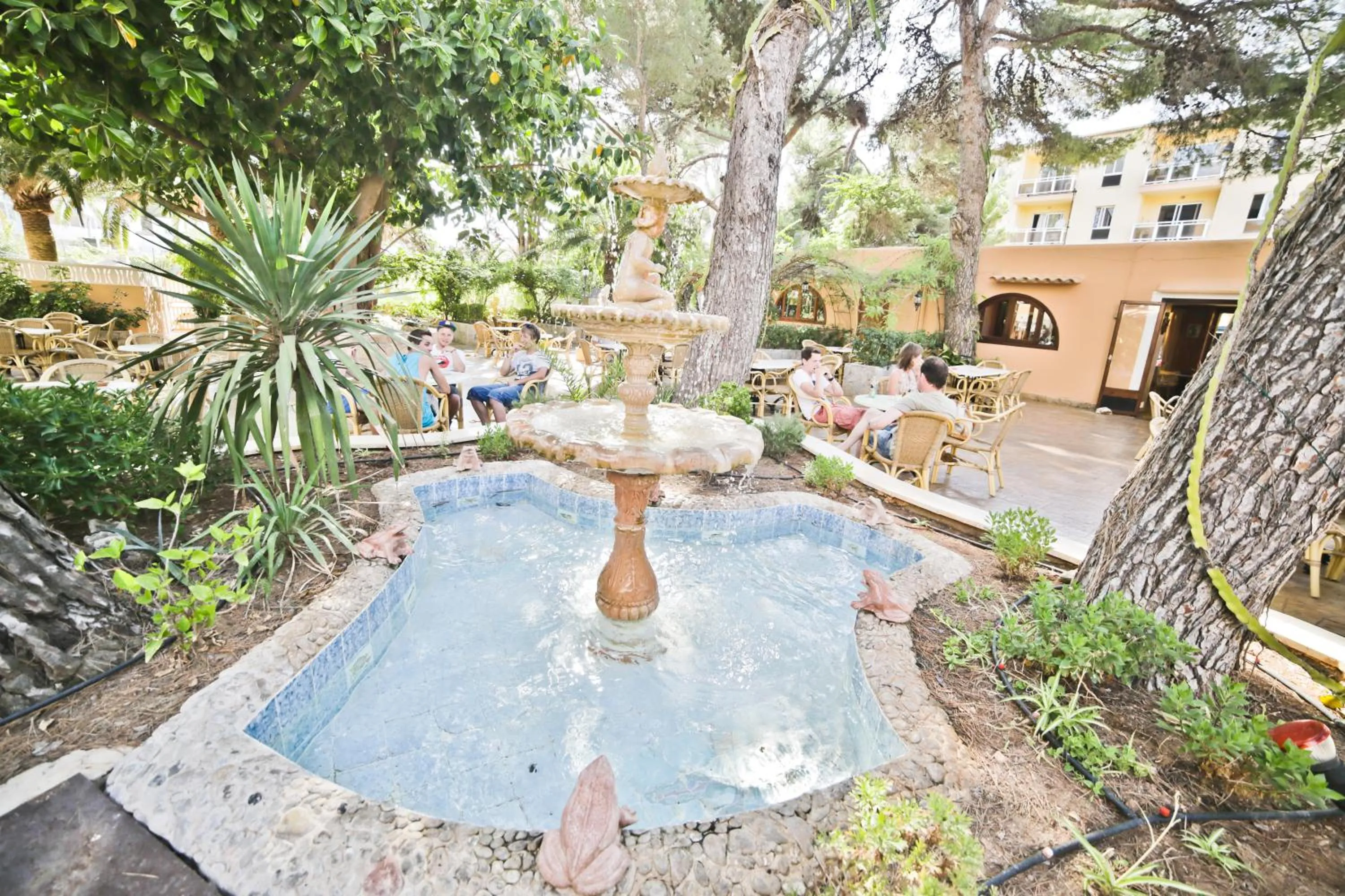 Restaurant/places to eat in Hotel Baviera