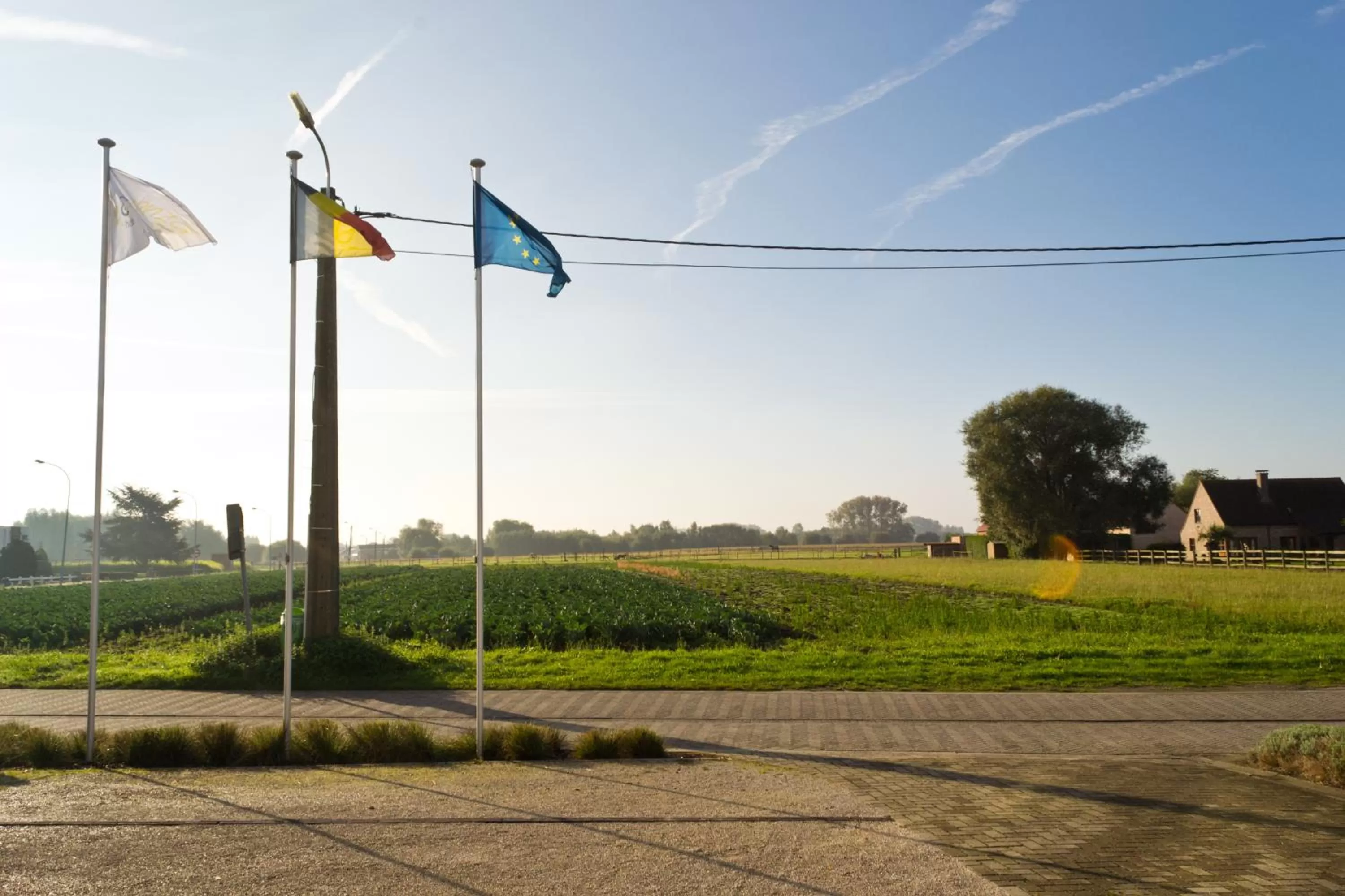 Area and facilities in Hotel Essenza