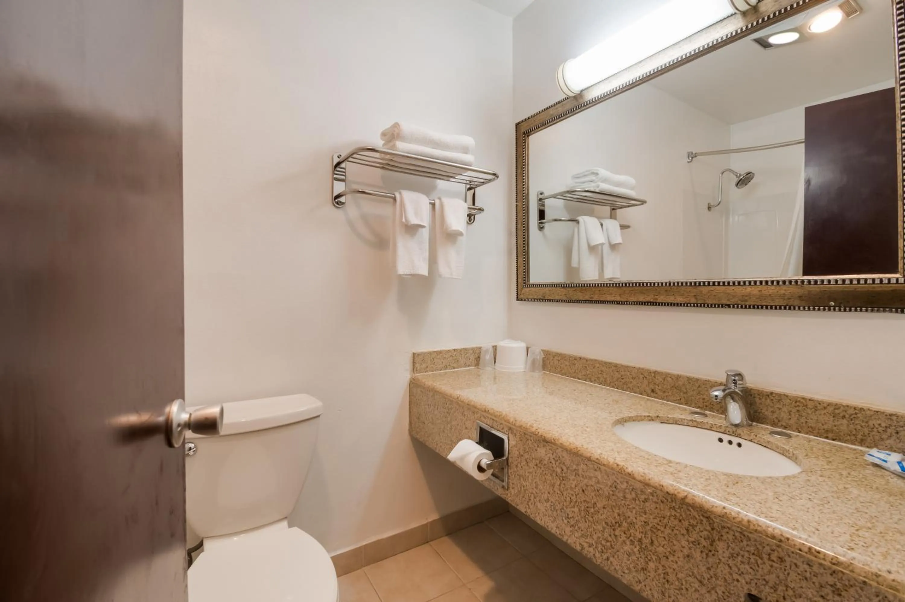 Shower in Rodeway Inn & Suites Portland West - Beaverton
