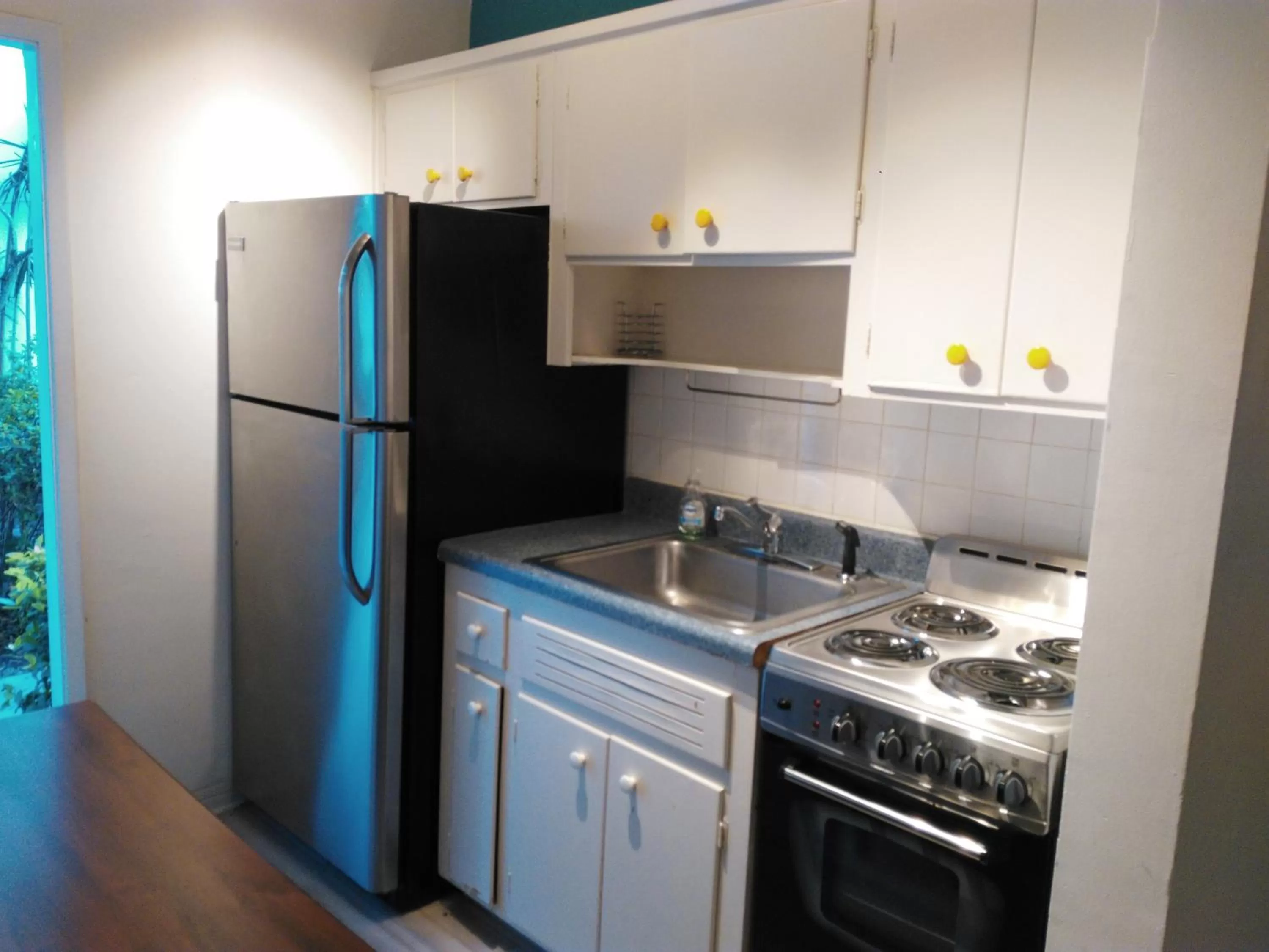 Kitchen or kitchenette in Green Island Inn