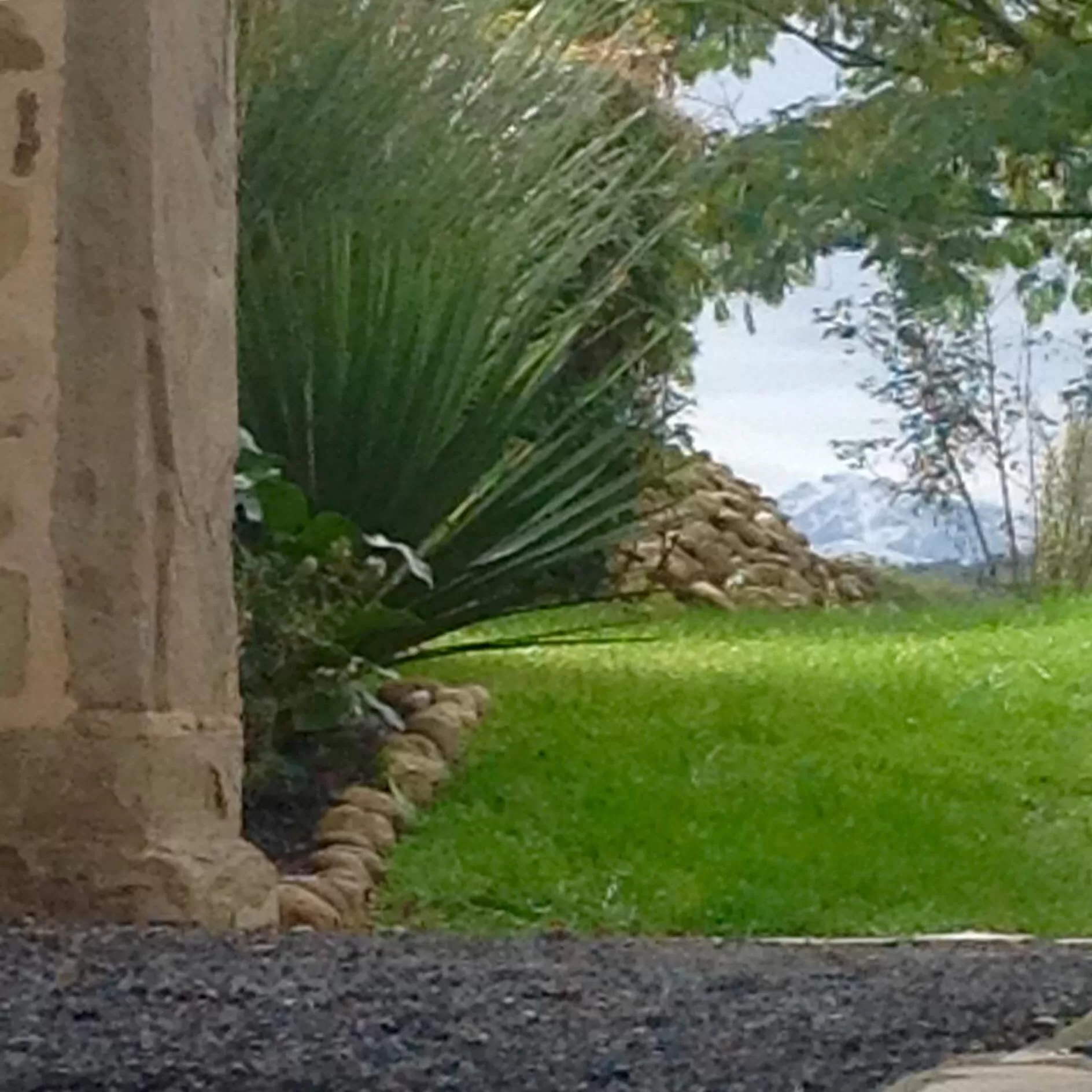 Mountain view, Garden in B&B Au Moulin 1771