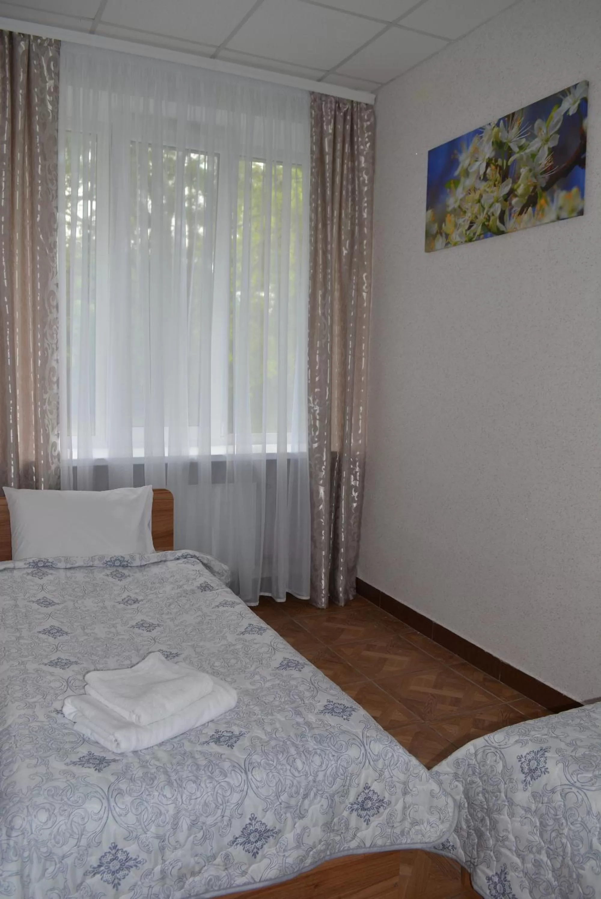 Bed in Zelenyi Kampus