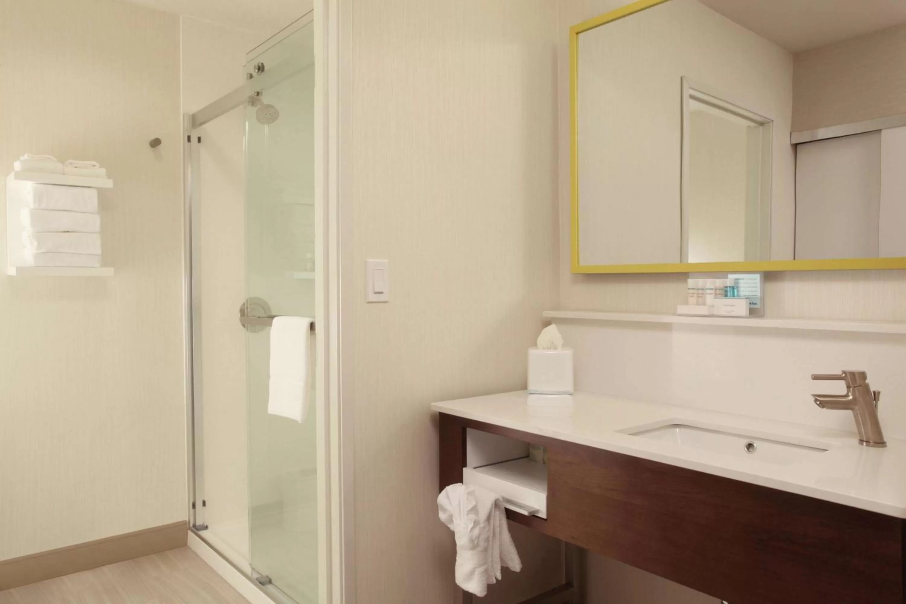 Bathroom in Hampton Inn Richland-Tri Cities